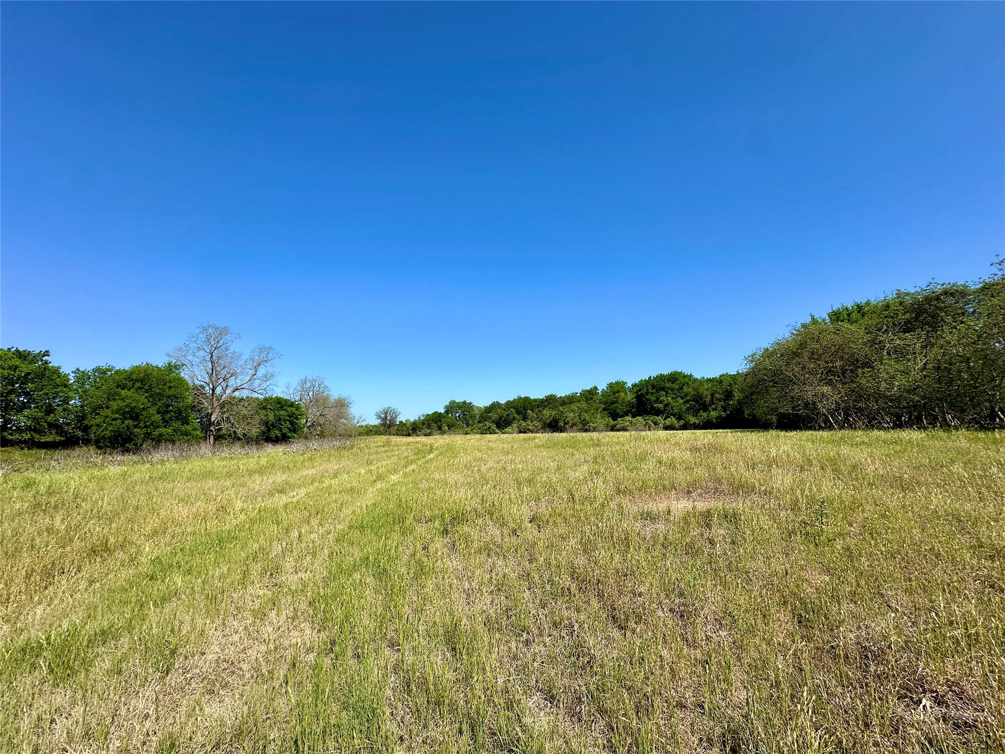 276 FM 2571, Smithville, TX 78957