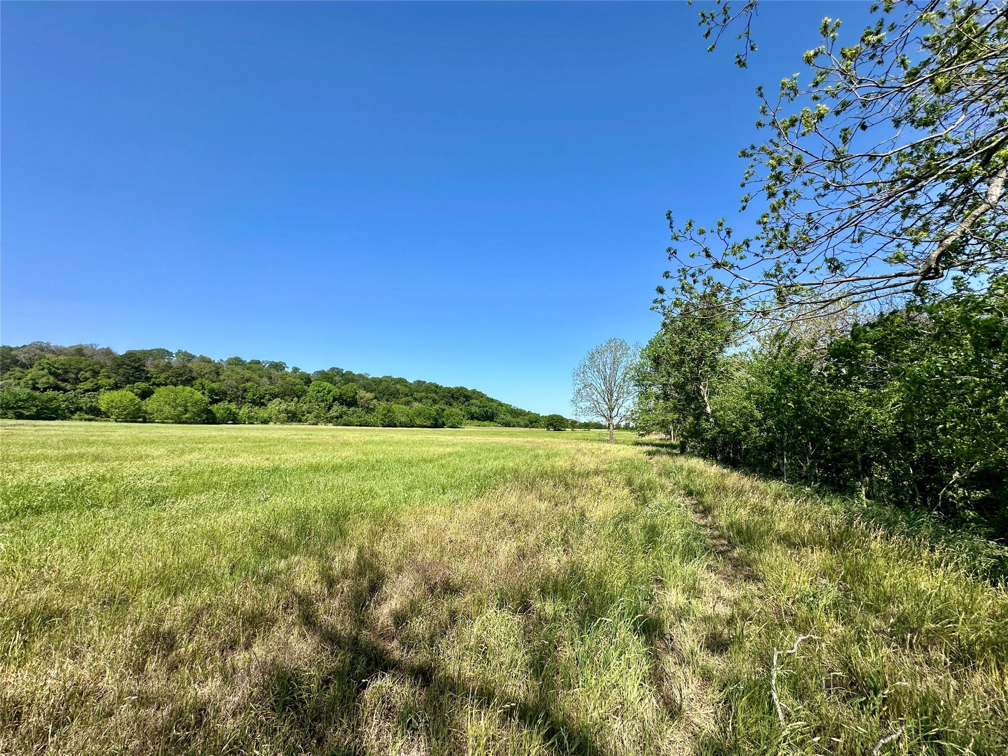 276 FM 2571, Smithville, TX 78957