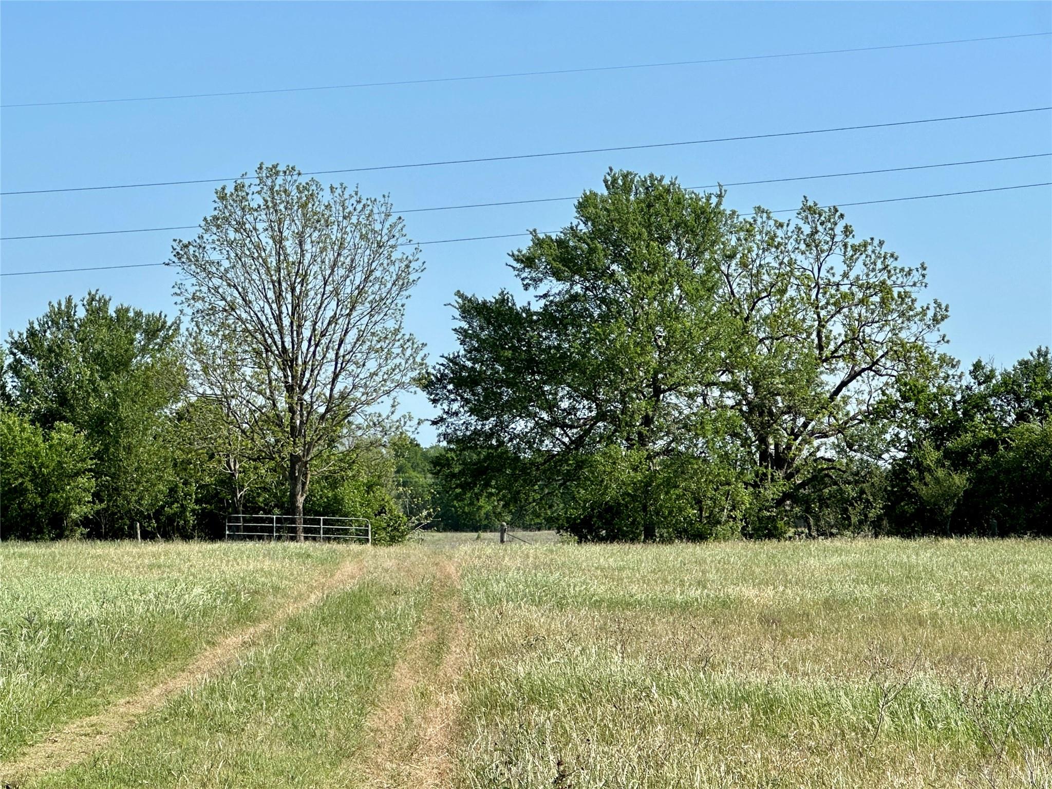 276 FM 2571, Smithville, TX 78957