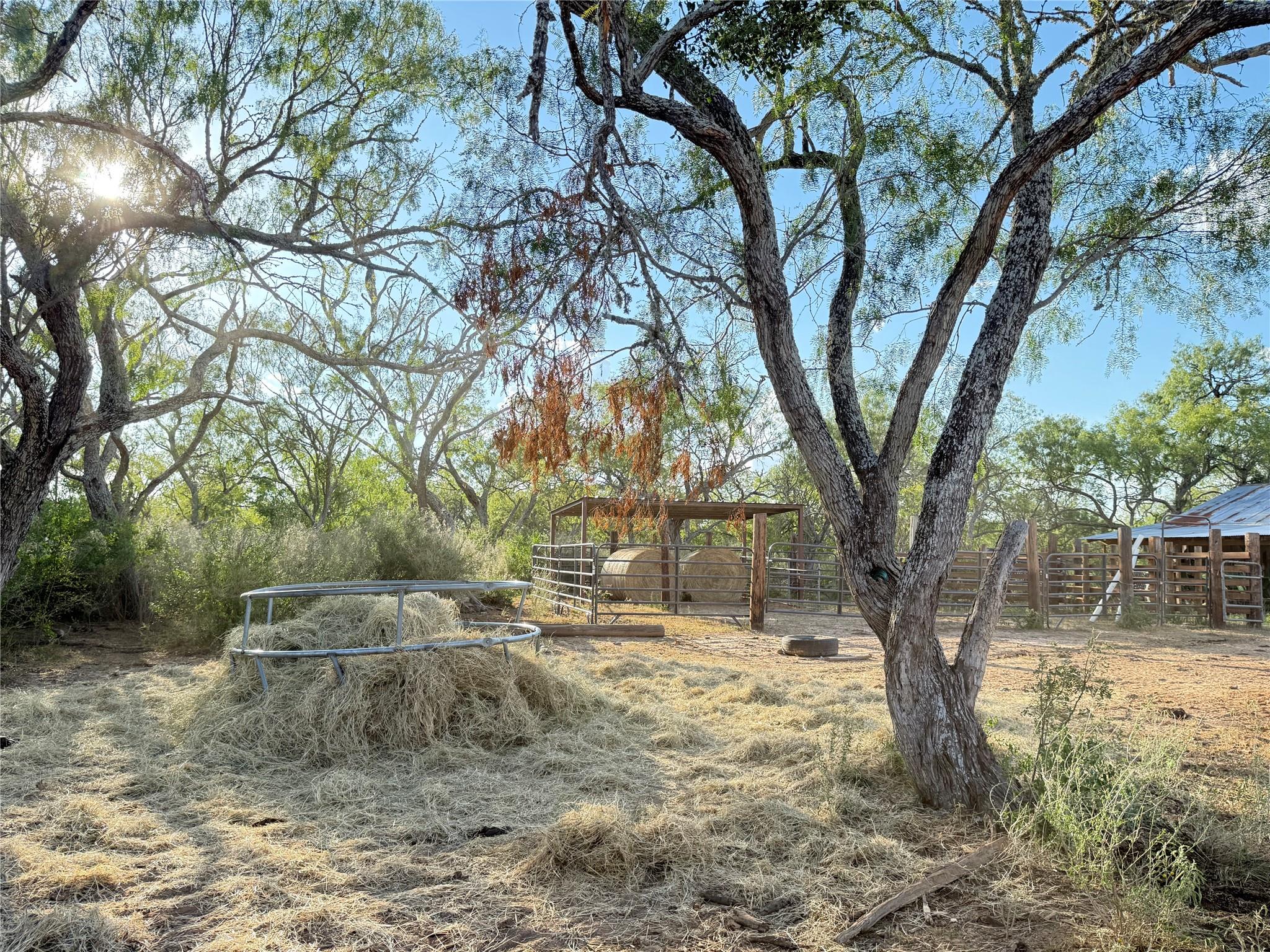 421 Zion Hill Rd, Seguin, TX 78155