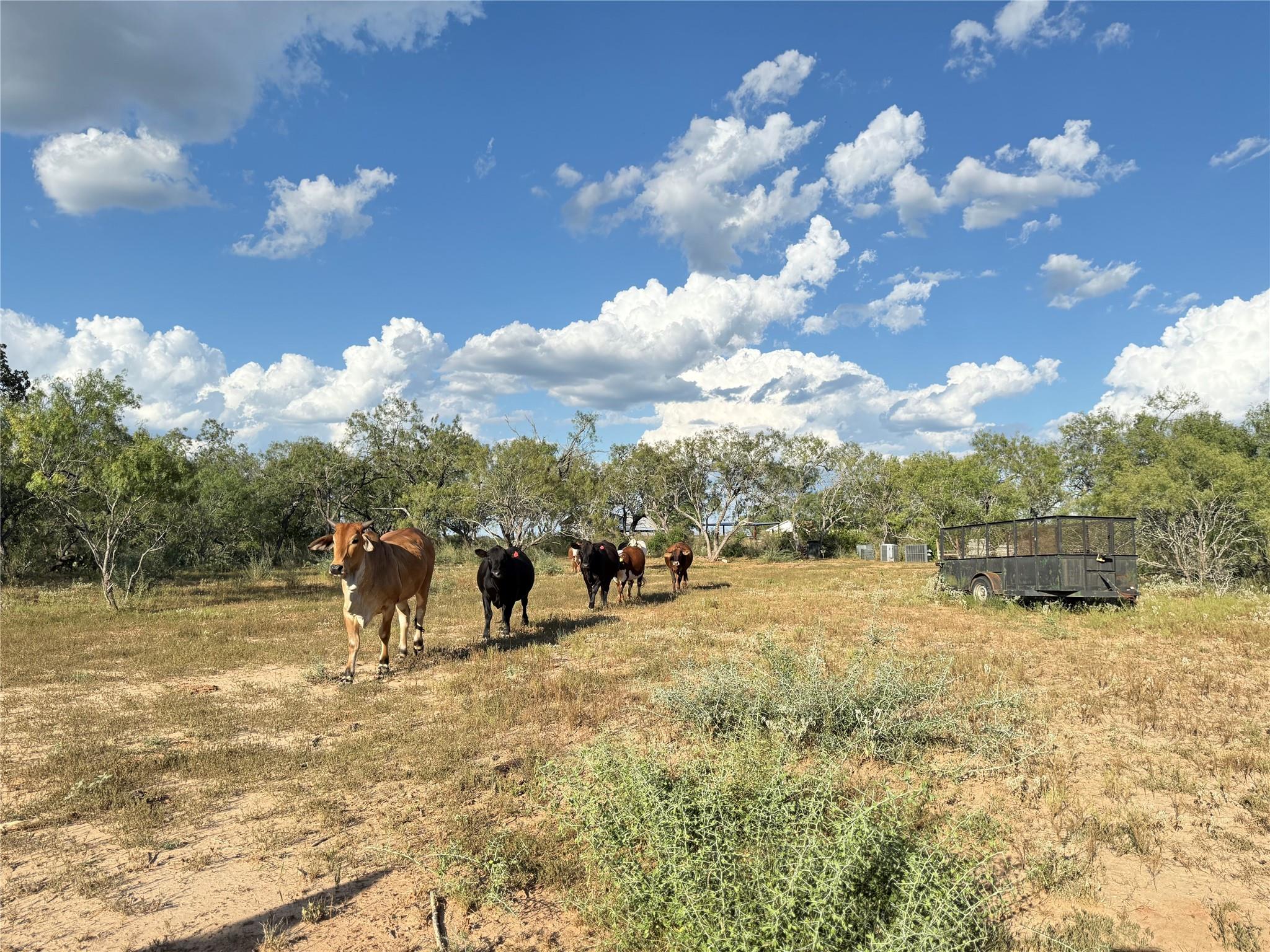 421 Zion Hill Rd, Seguin, TX 78155