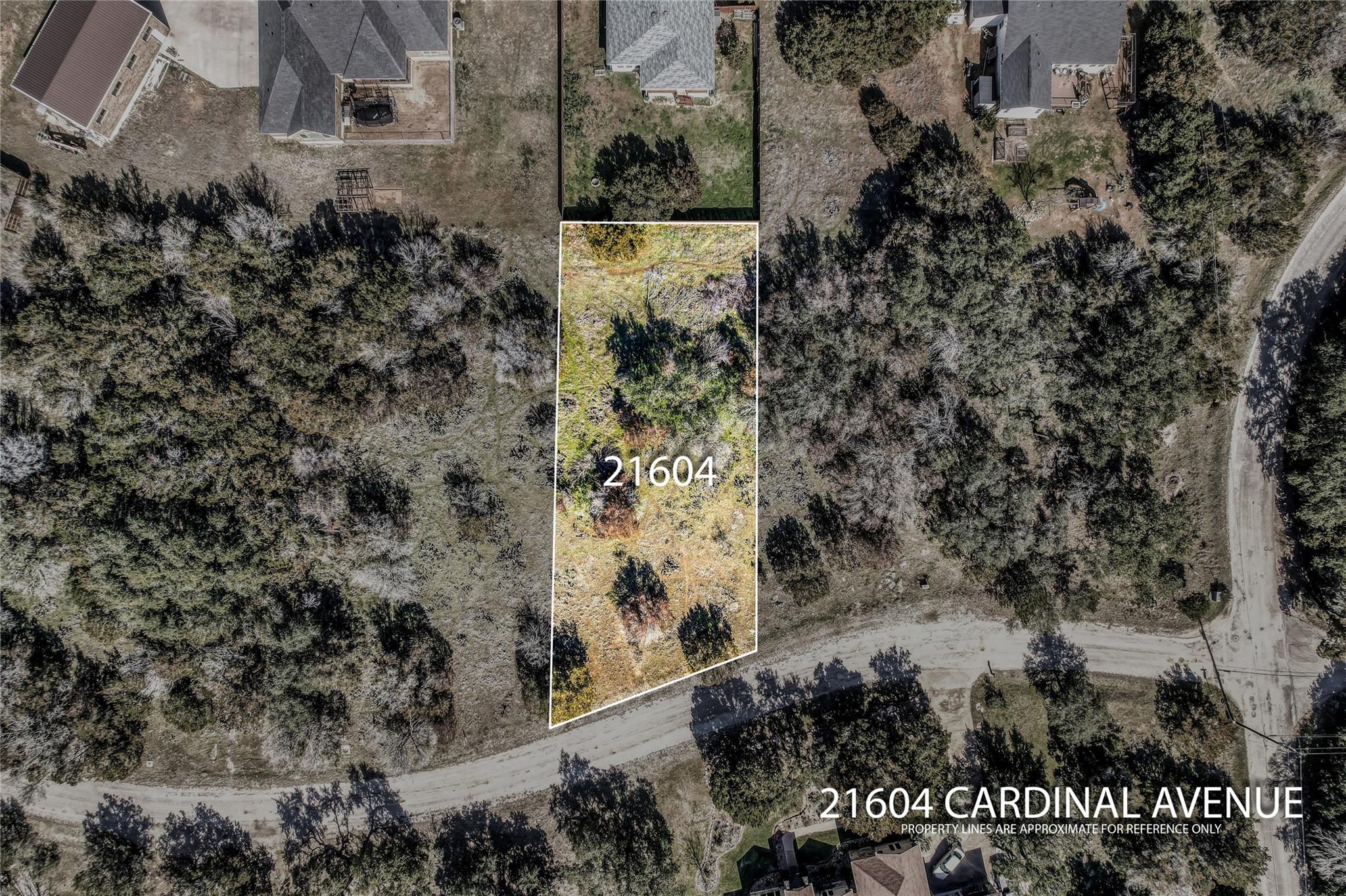 21604 Cardinal Ave, Lago Vista, TX 78645