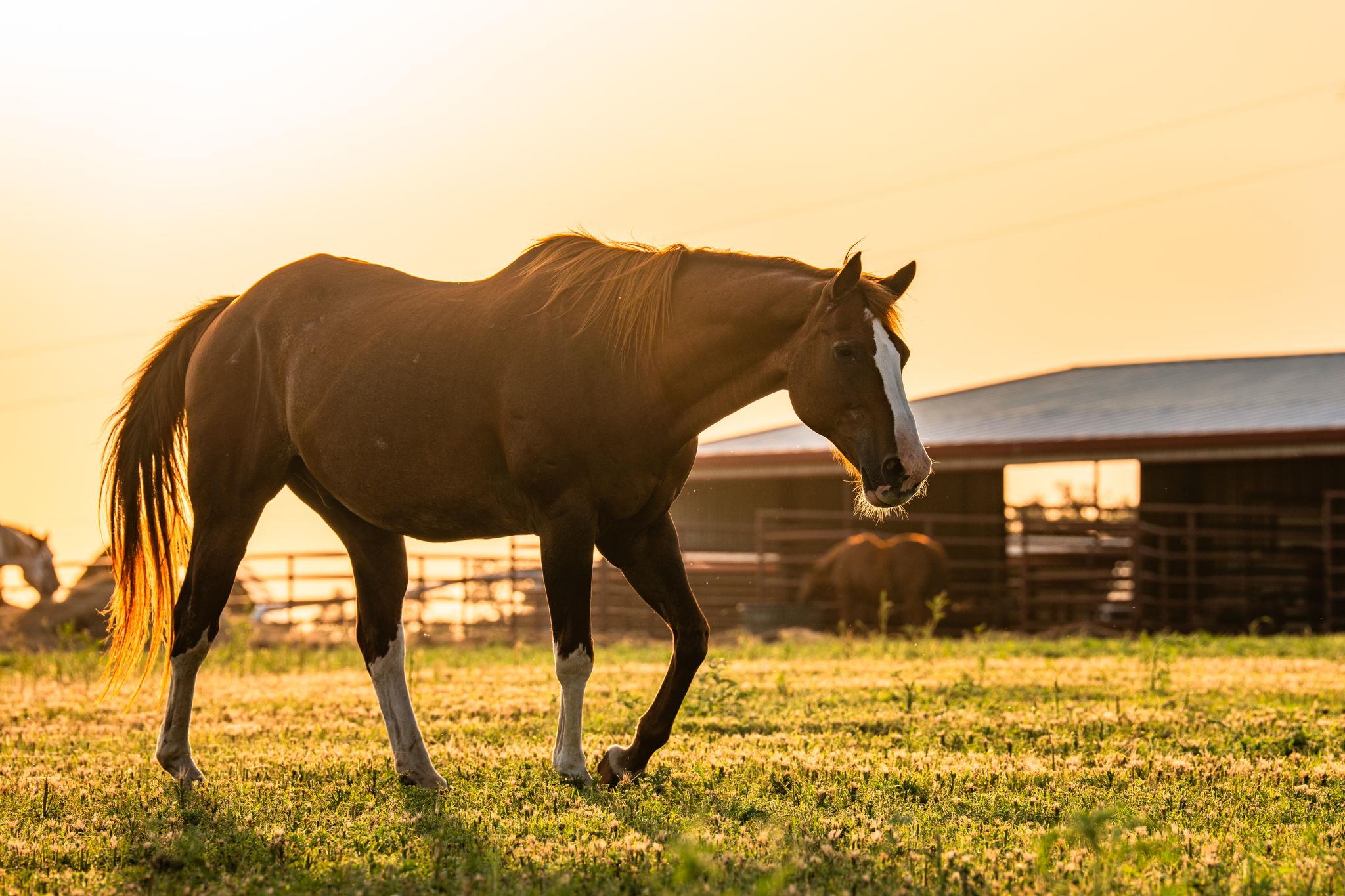 2055 County Road 284, Liberty Hill, TX 78642