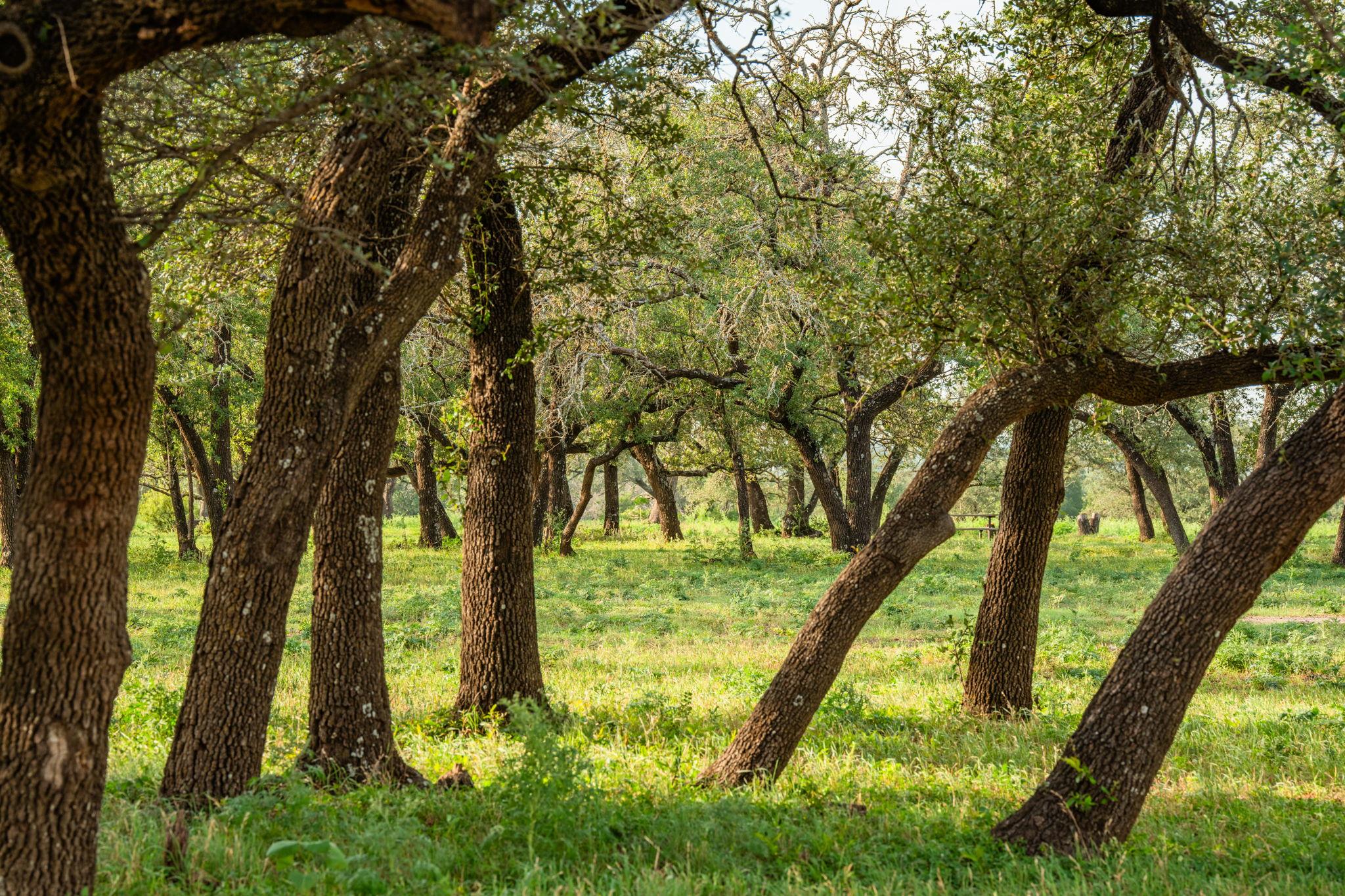 2055 County Road 284, Liberty Hill, TX 78642