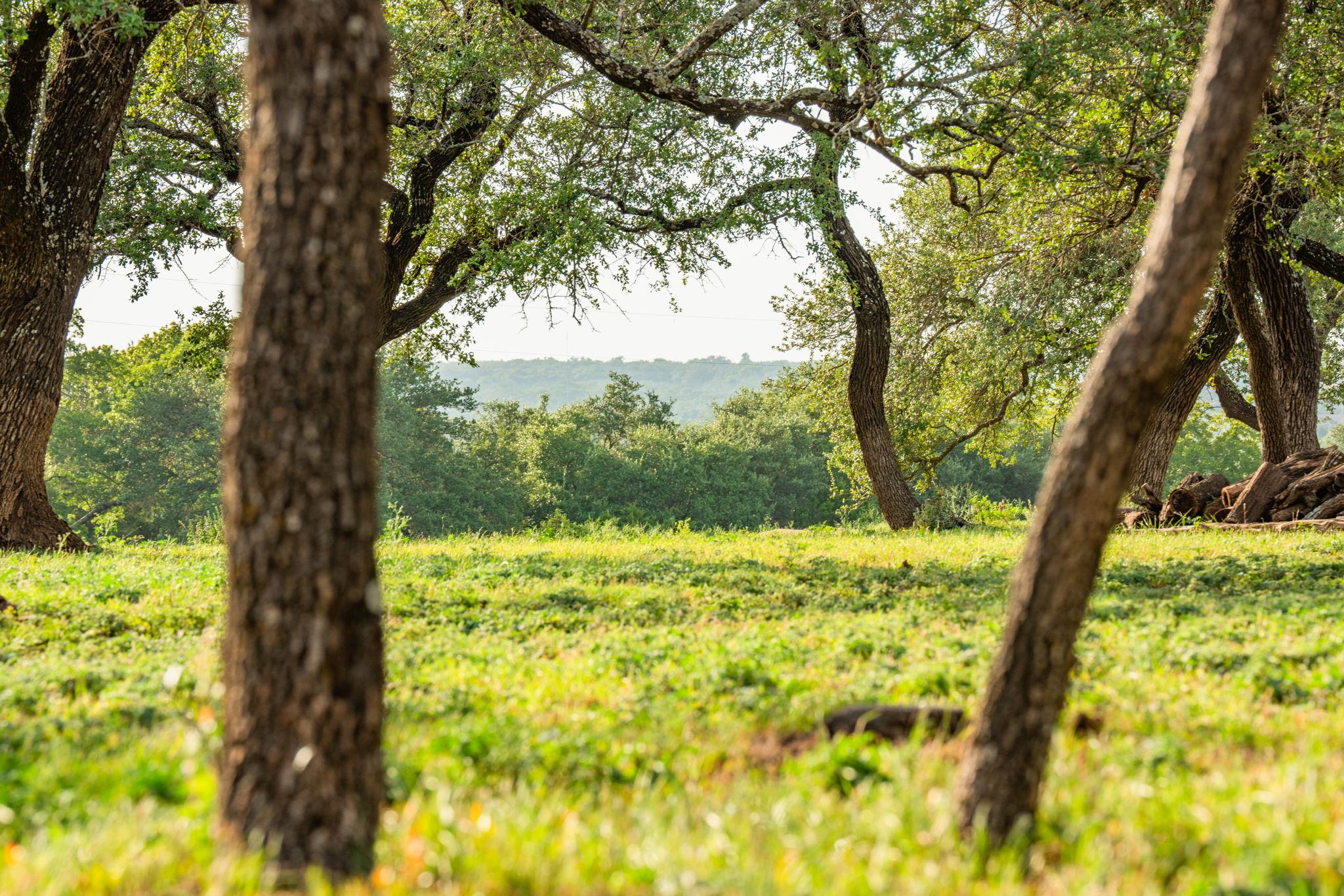 2055 County Road 284, Liberty Hill, TX 78642