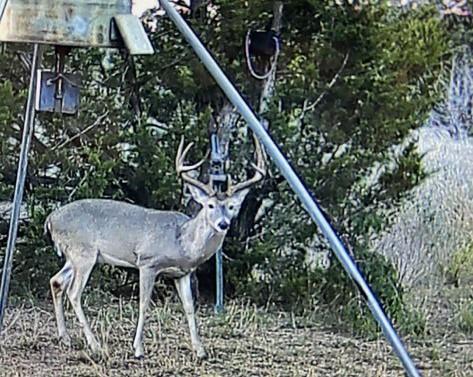 199 Middleton Rd, Spicewood, TX 78669