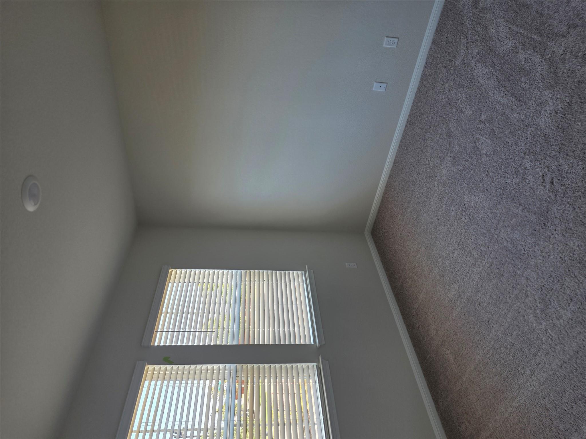 2219 Oscar Eli Pl, Round Rock, TX 78665