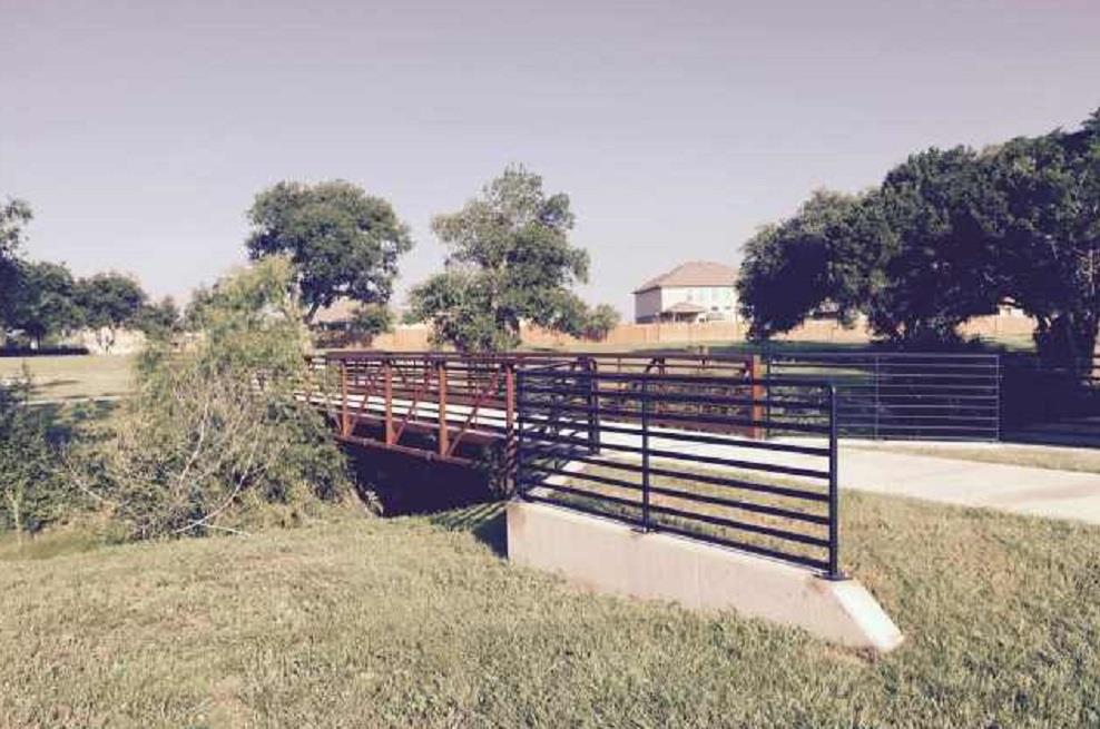 229 Belanger Canyon Dr, Liberty Hill, TX 78642