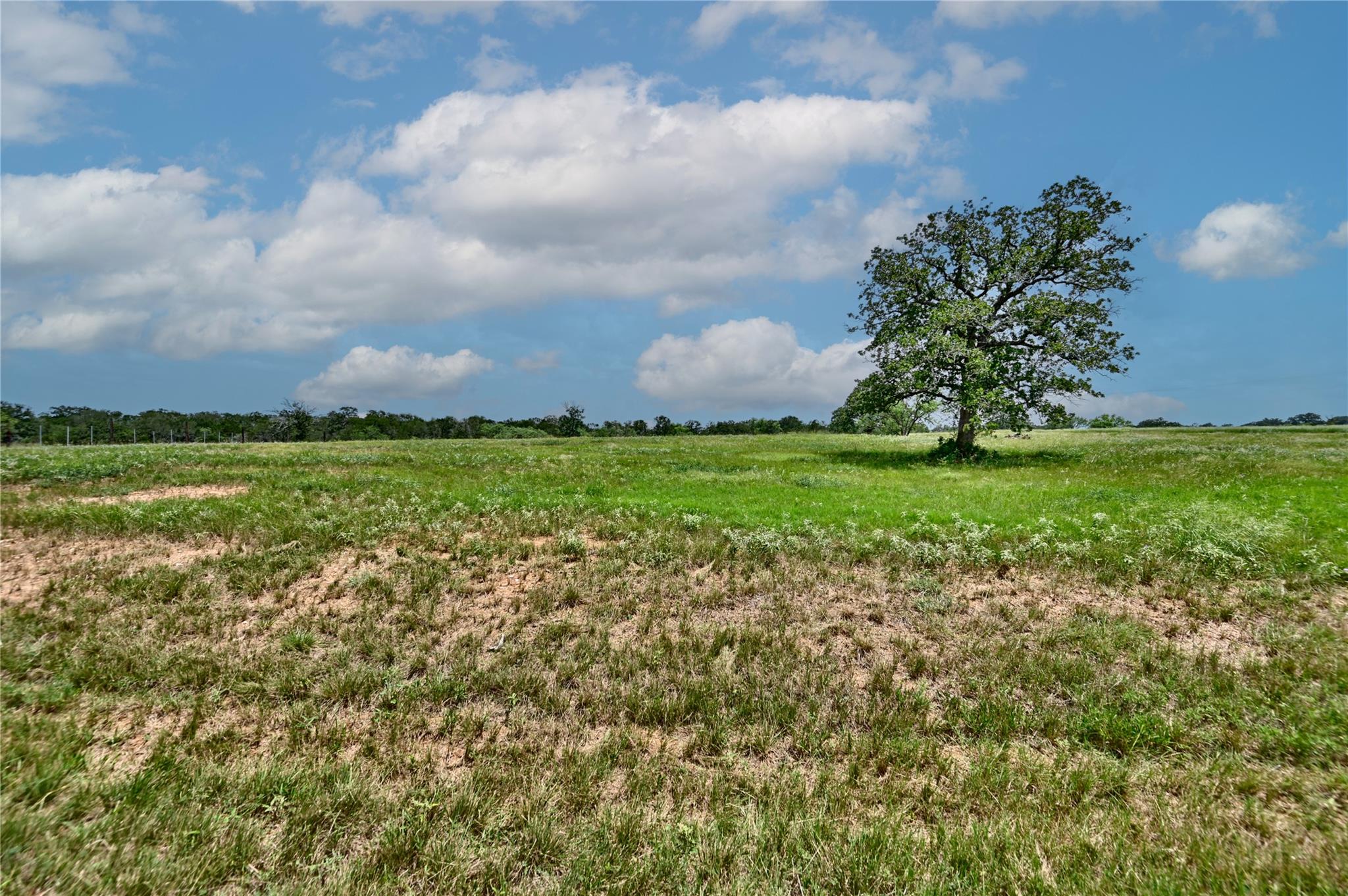 TBD 1-13 (2.0 Acres) New Moon Ct, Red Rock, TX 78662