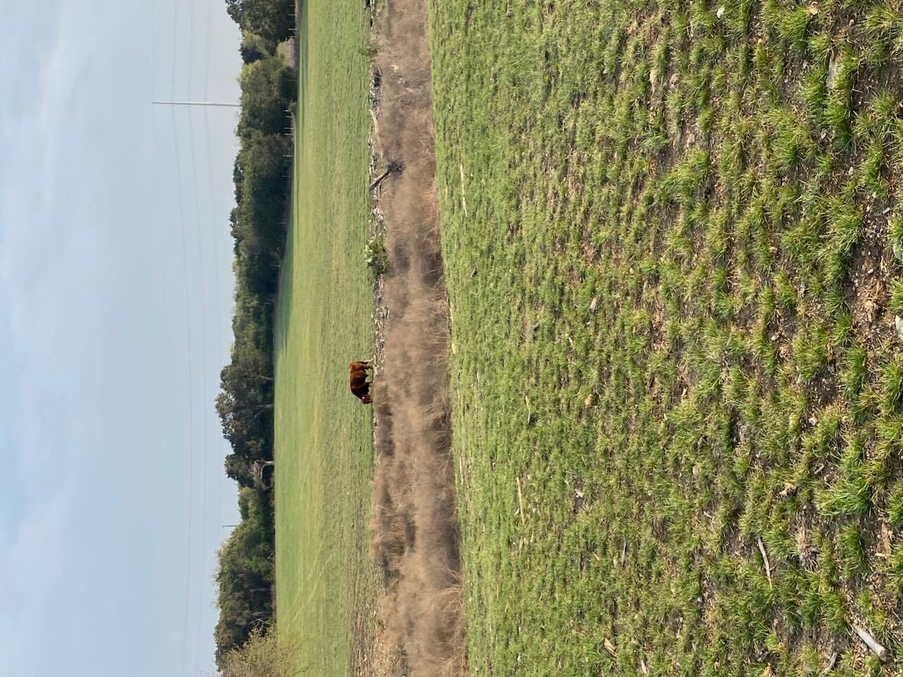 2029 County Road 200, Burnet, TX 78611