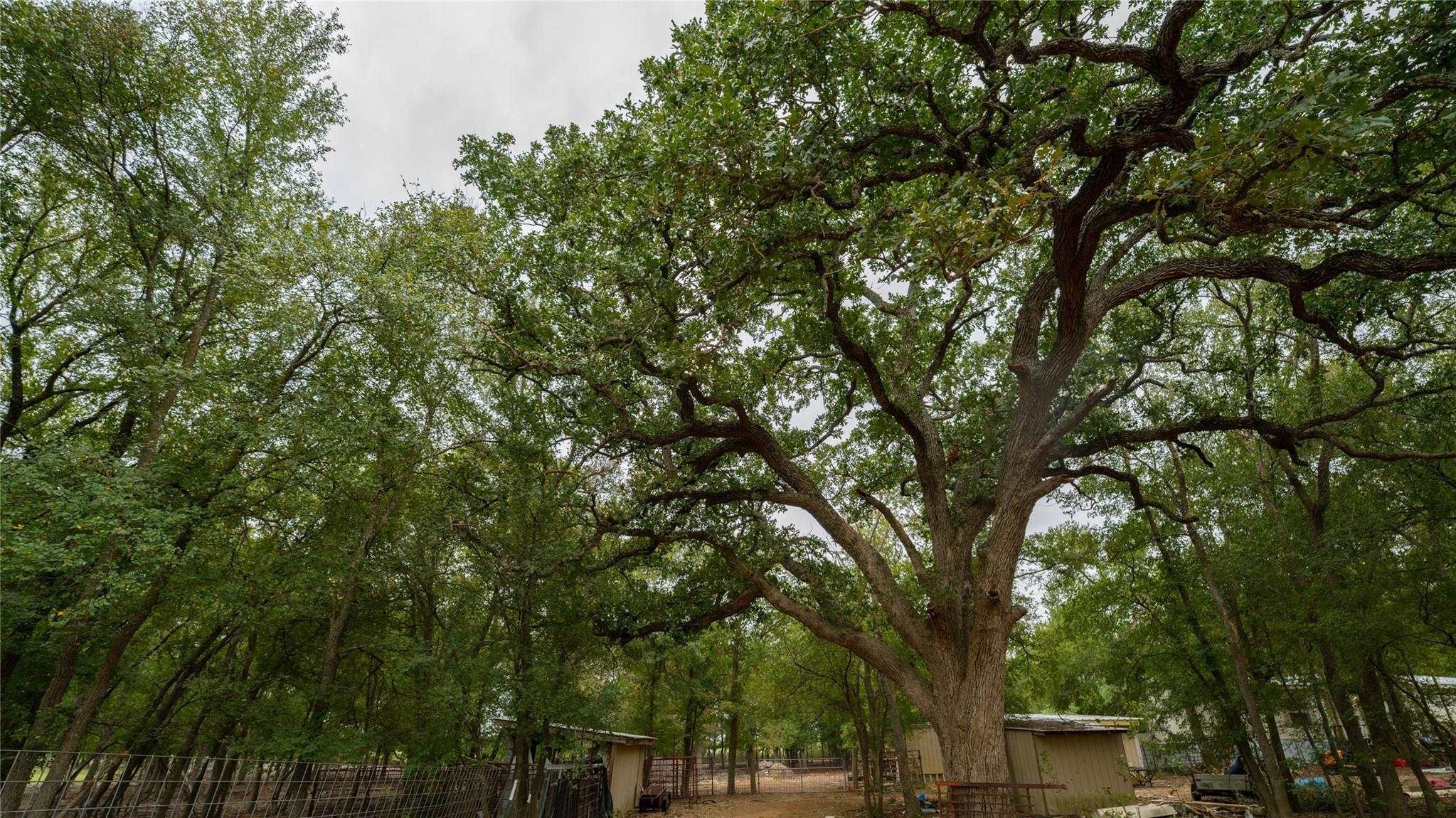 2348 County Road 404 Loop, Bartlett, TX 76511