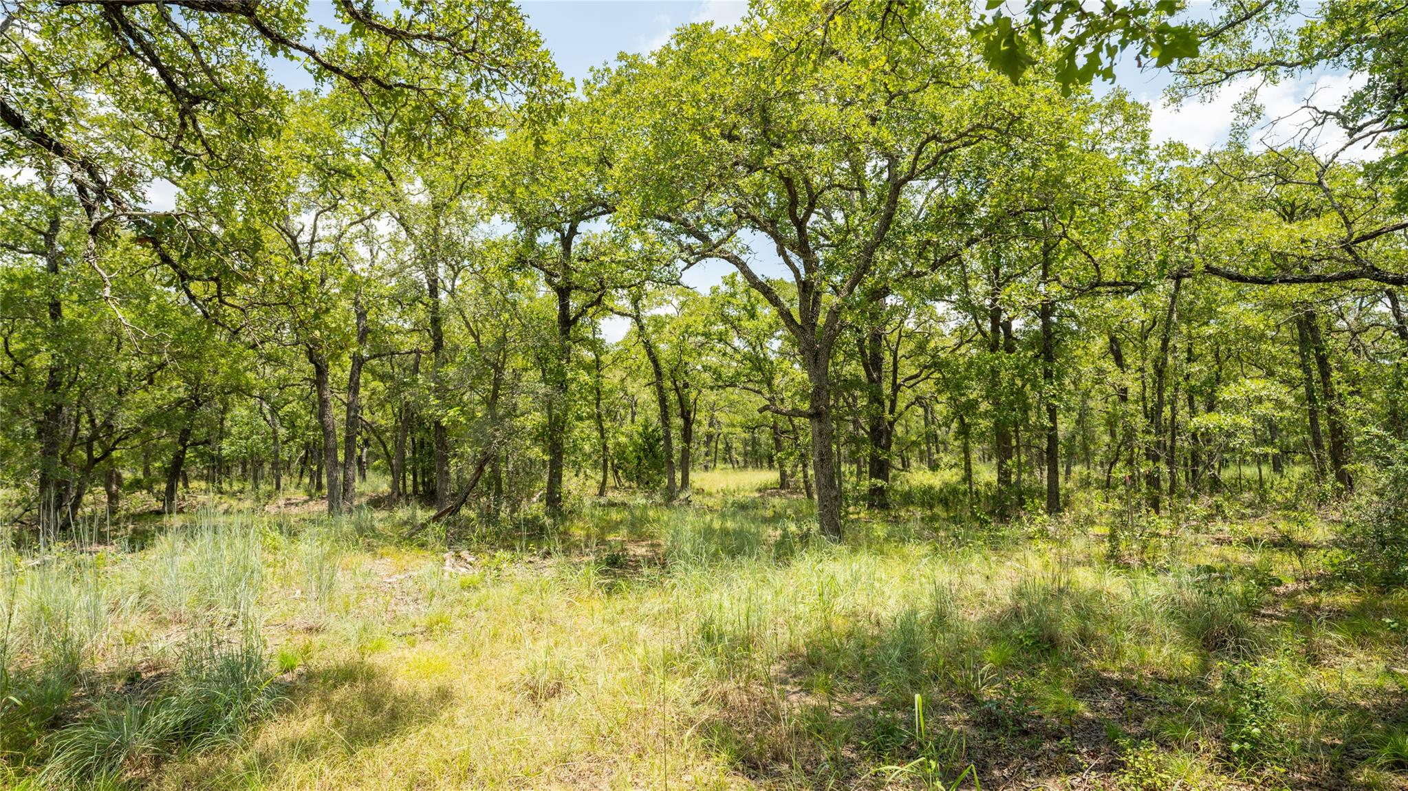 418-G County Road 405, Buckholts, TX 76518