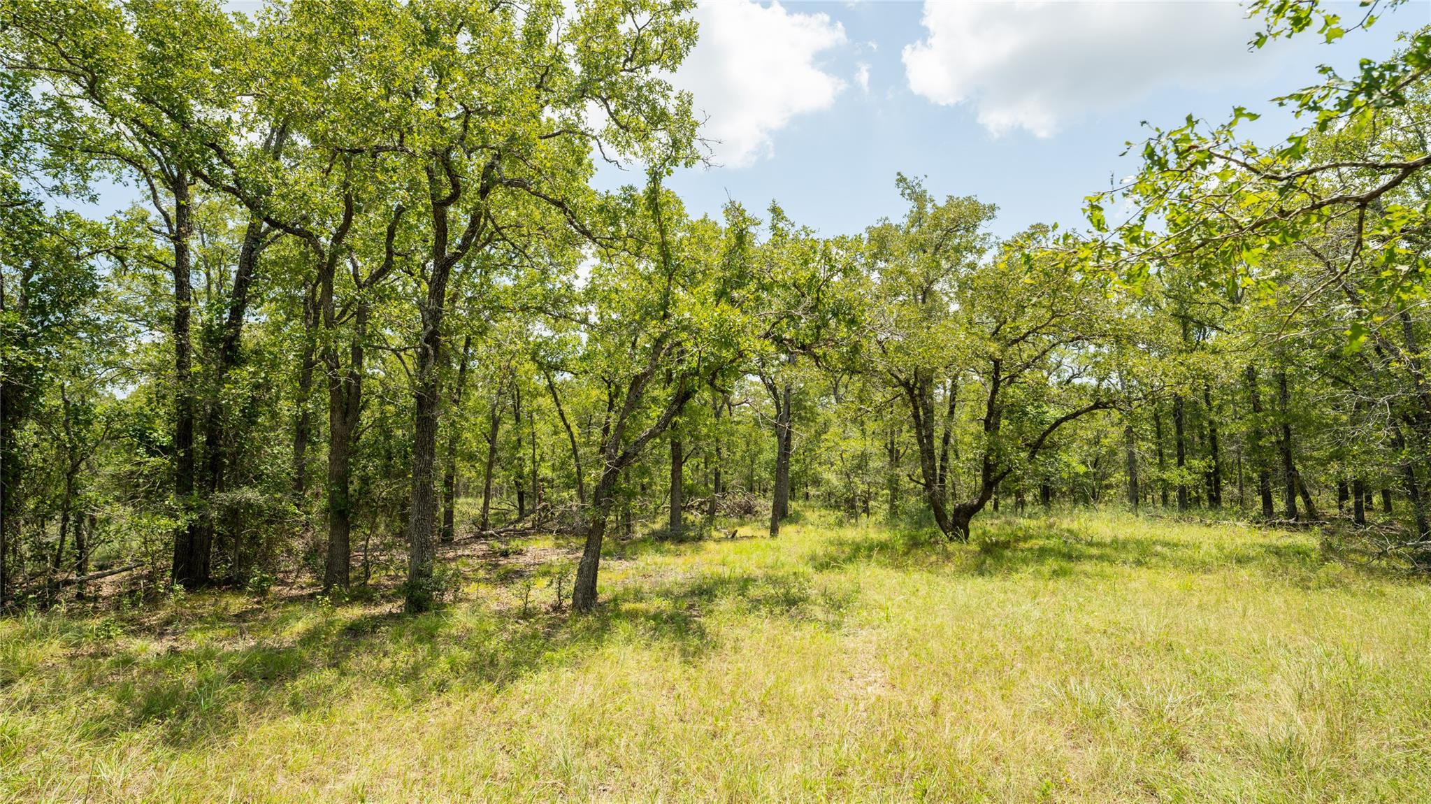 418-G County Road 405, Buckholts, TX 76518