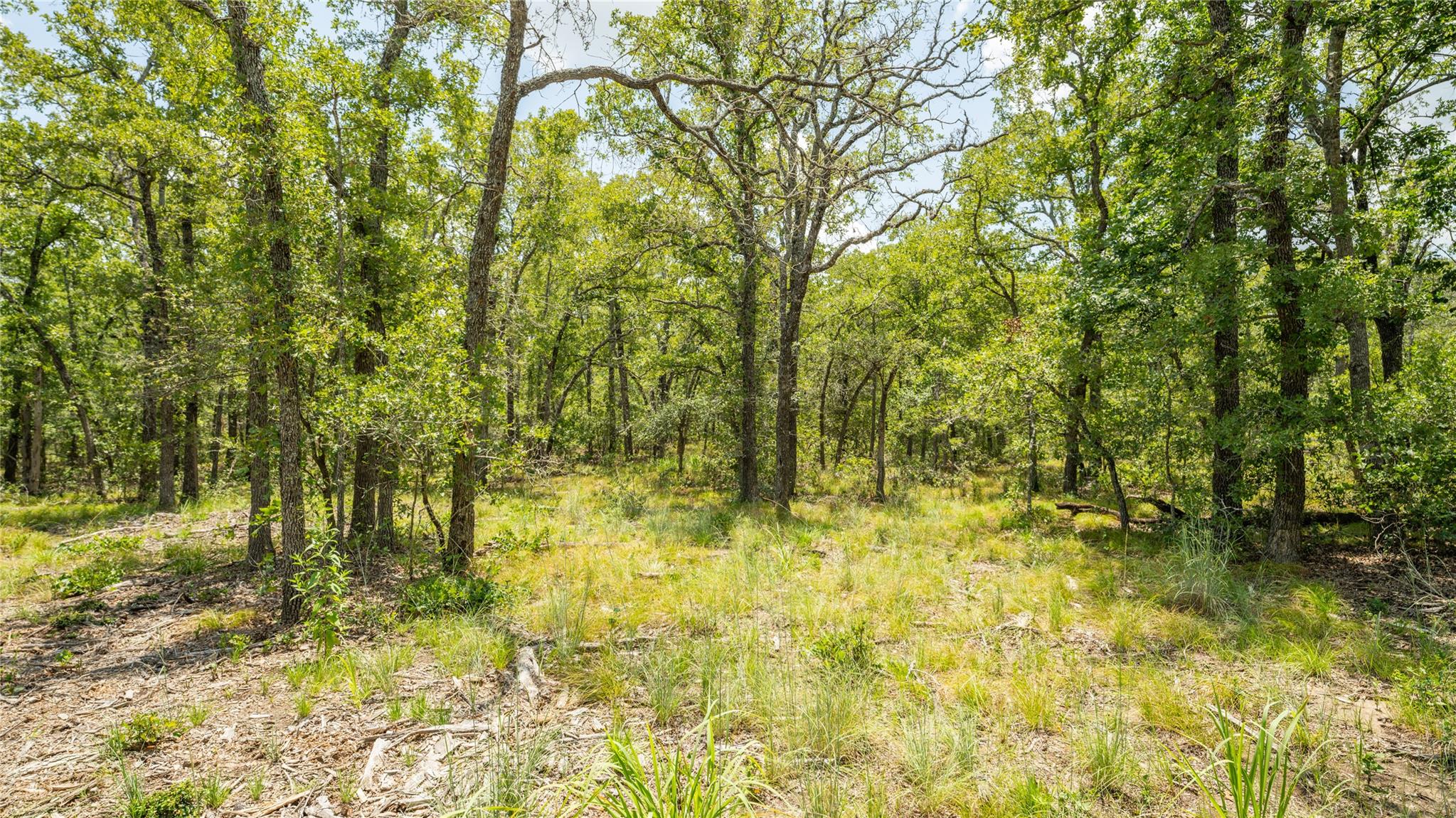 418-G County Road 405, Buckholts, TX 76518