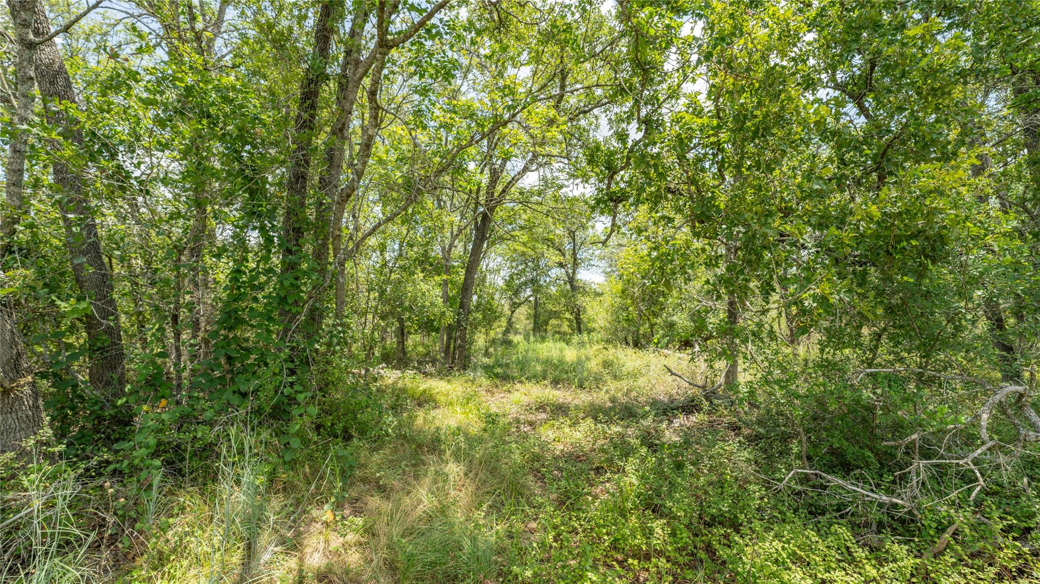 418-G County Road 405, Buckholts, TX 76518