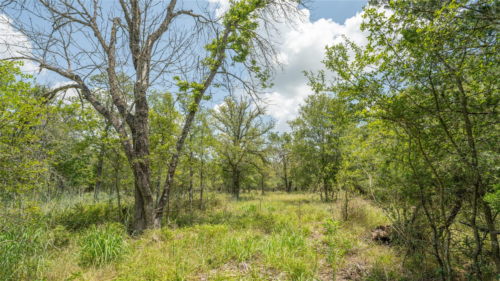 418-G County Road 405, Buckholts, TX 76518