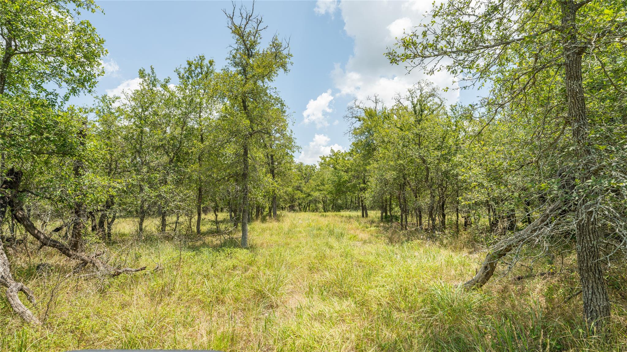 418-G County Road 405, Buckholts, TX 76518