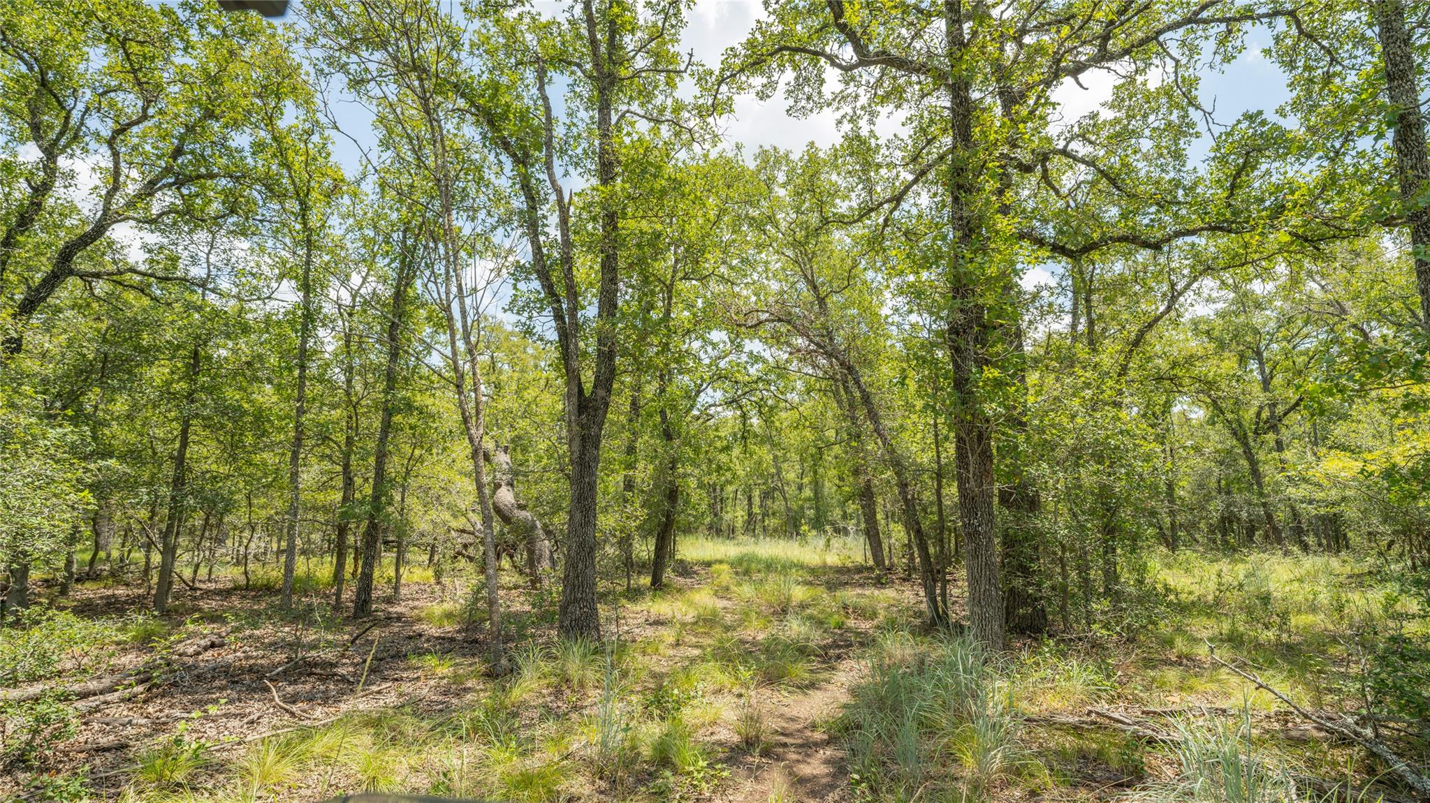 418-G County Road 405, Buckholts, TX 76518