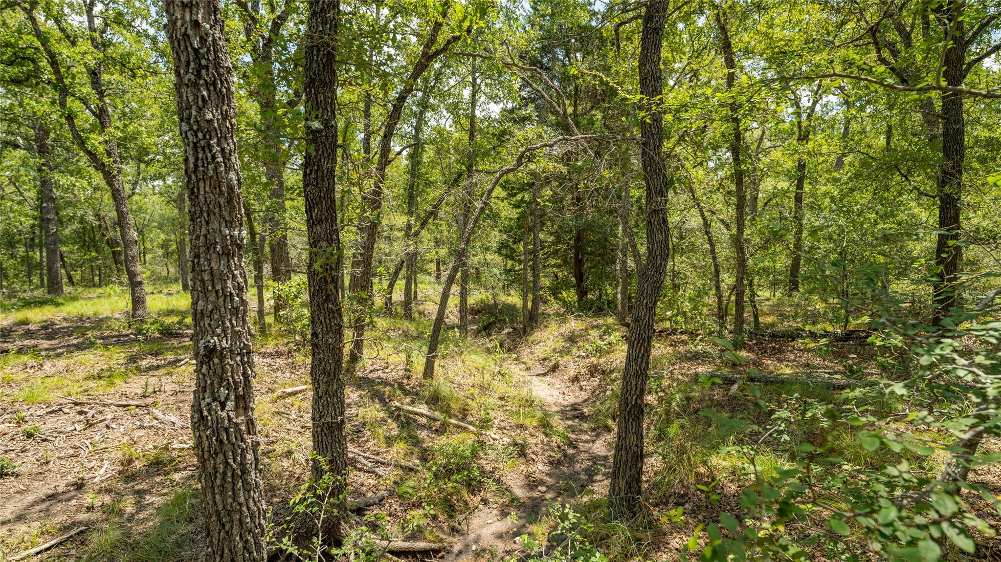 418-G County Road 405, Buckholts, TX 76518