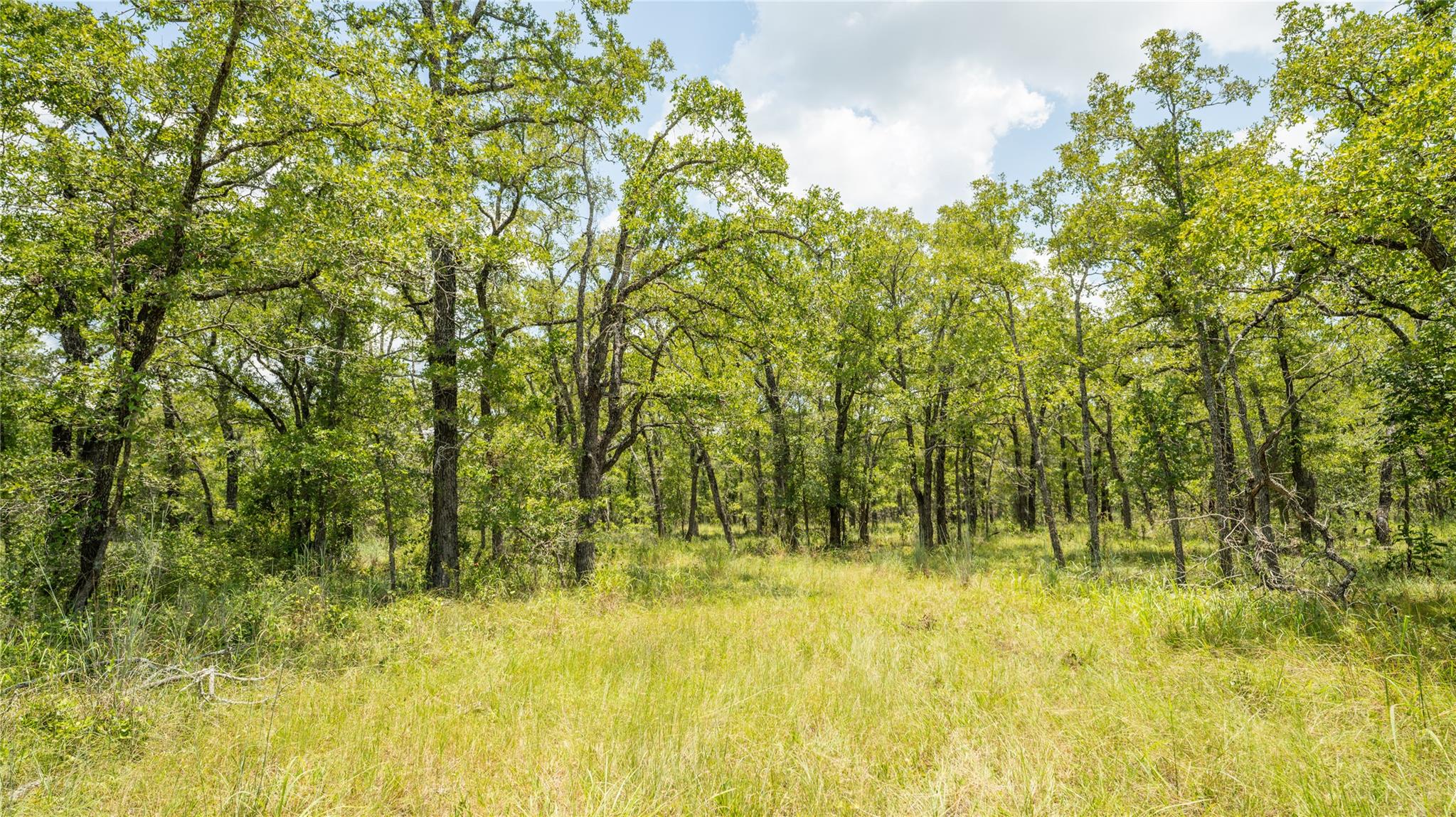 418-G County Road 405, Buckholts, TX 76518