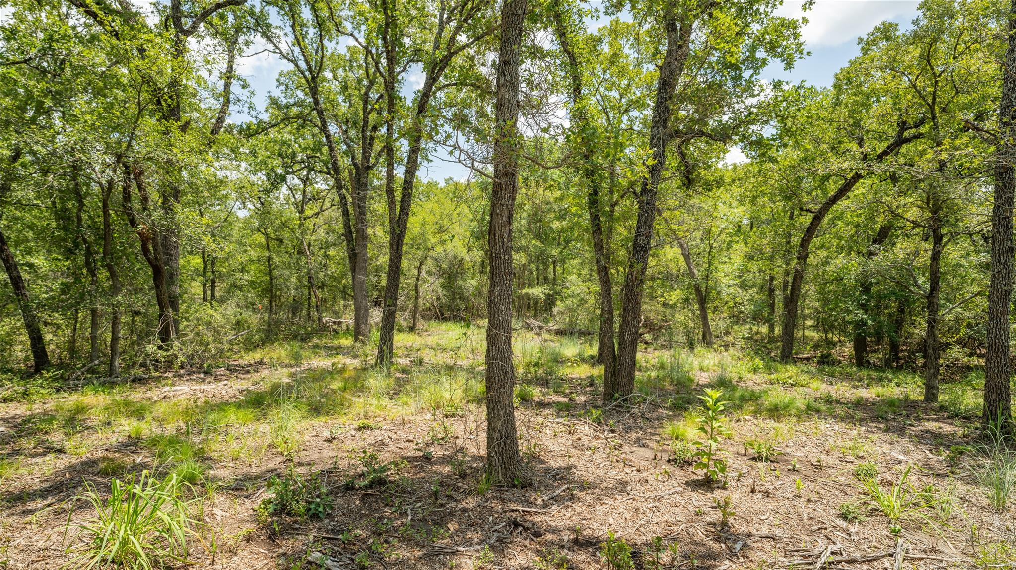 418-G County Road 405, Buckholts, TX 76518