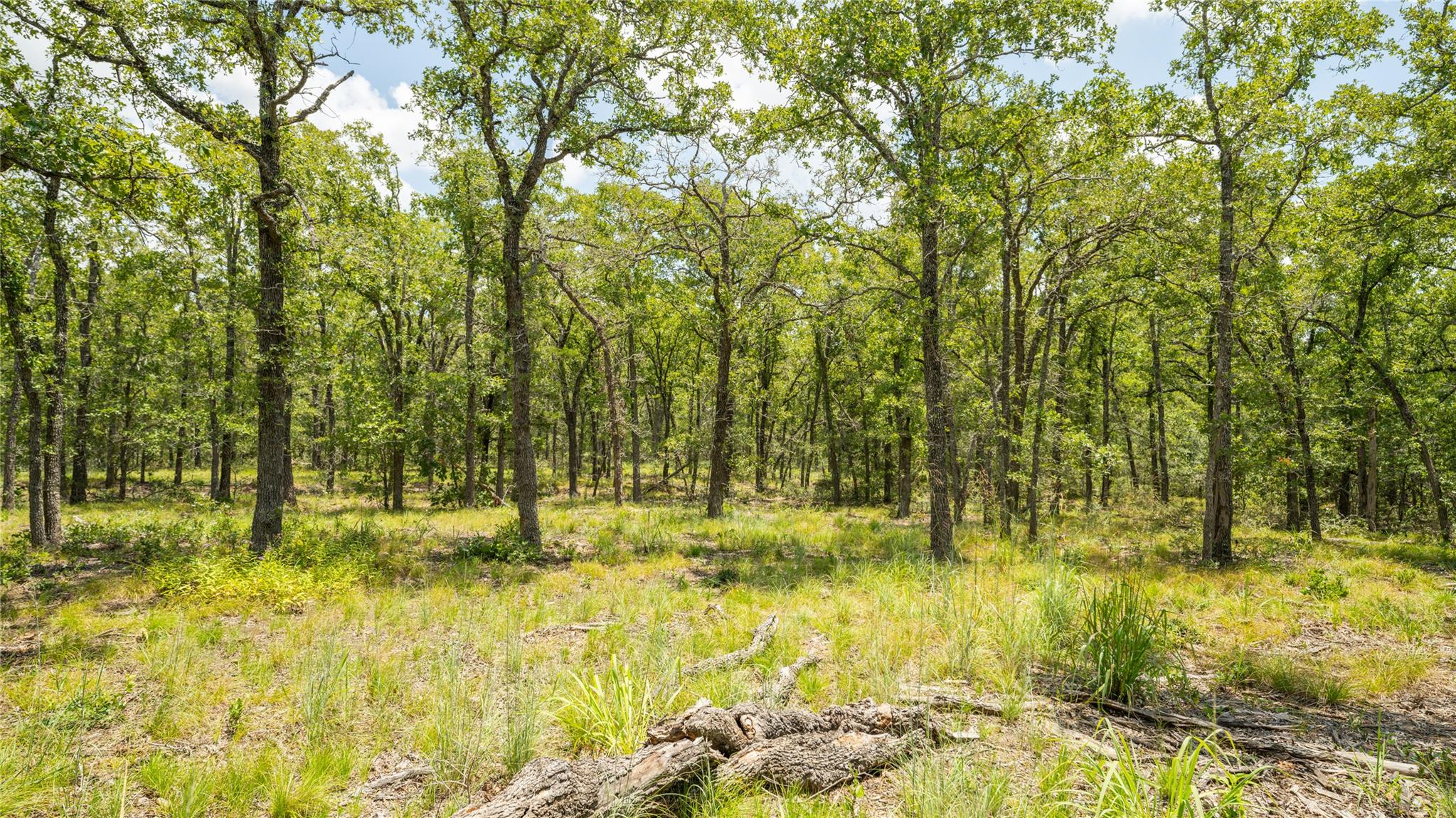 418-G County Road 405, Buckholts, TX 76518