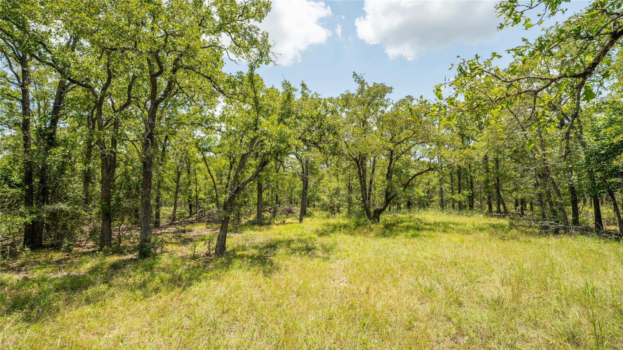 418-G County Road 405, Buckholts, TX 76518
