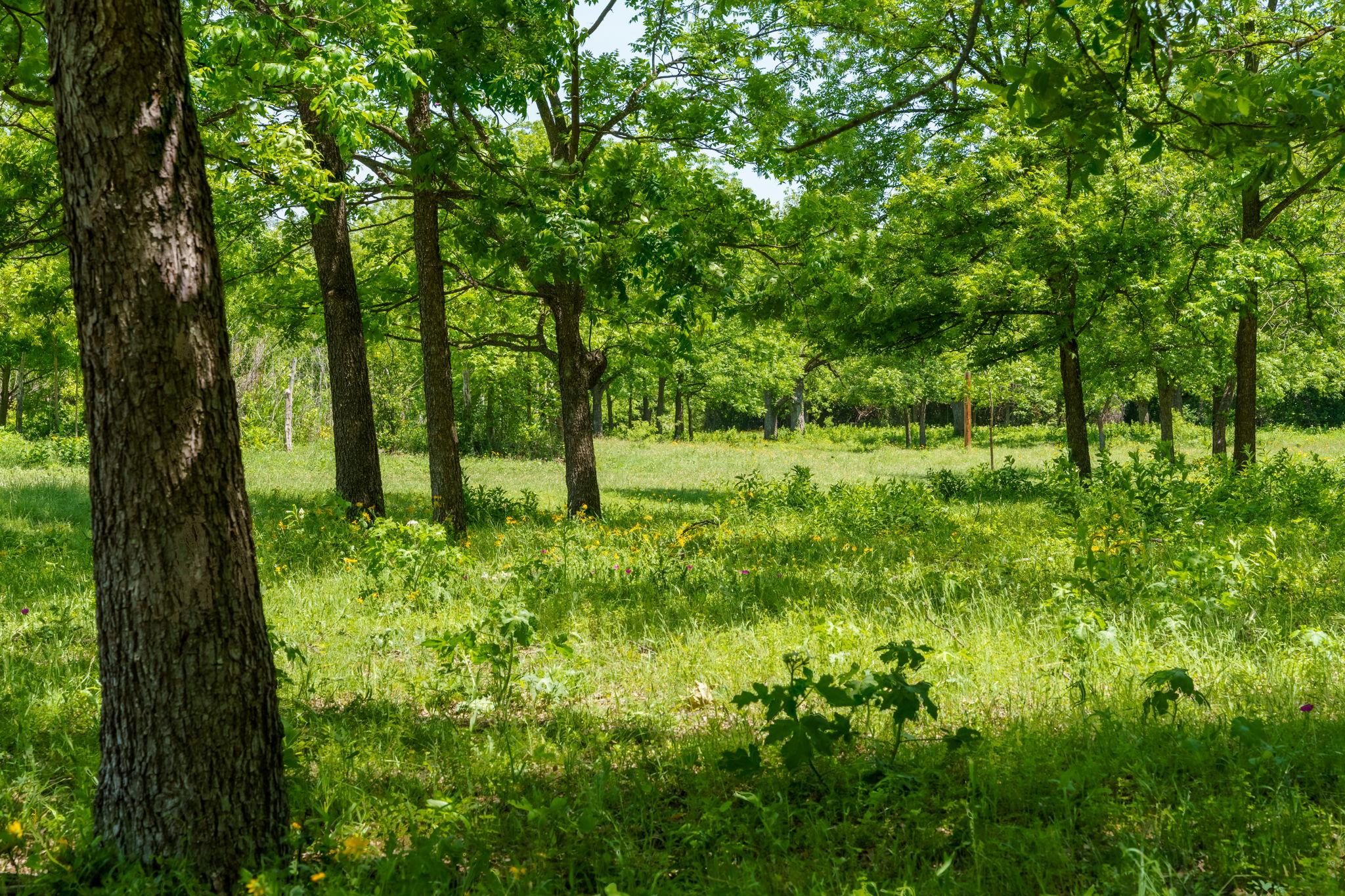 800 Spur 191, Spicewood, TX 78669