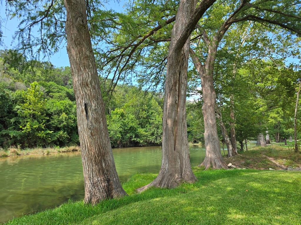 639 Bluff Ridge Ct, New Braunfels, TX 78132