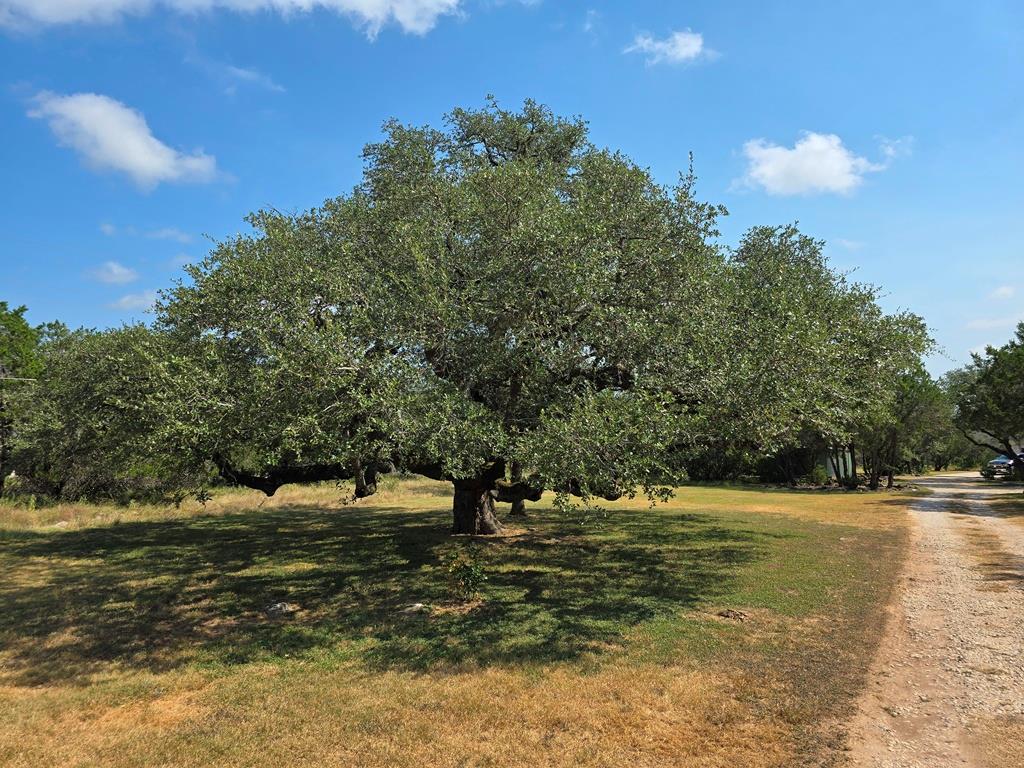 639 Bluff Ridge Ct, New Braunfels, TX 78132