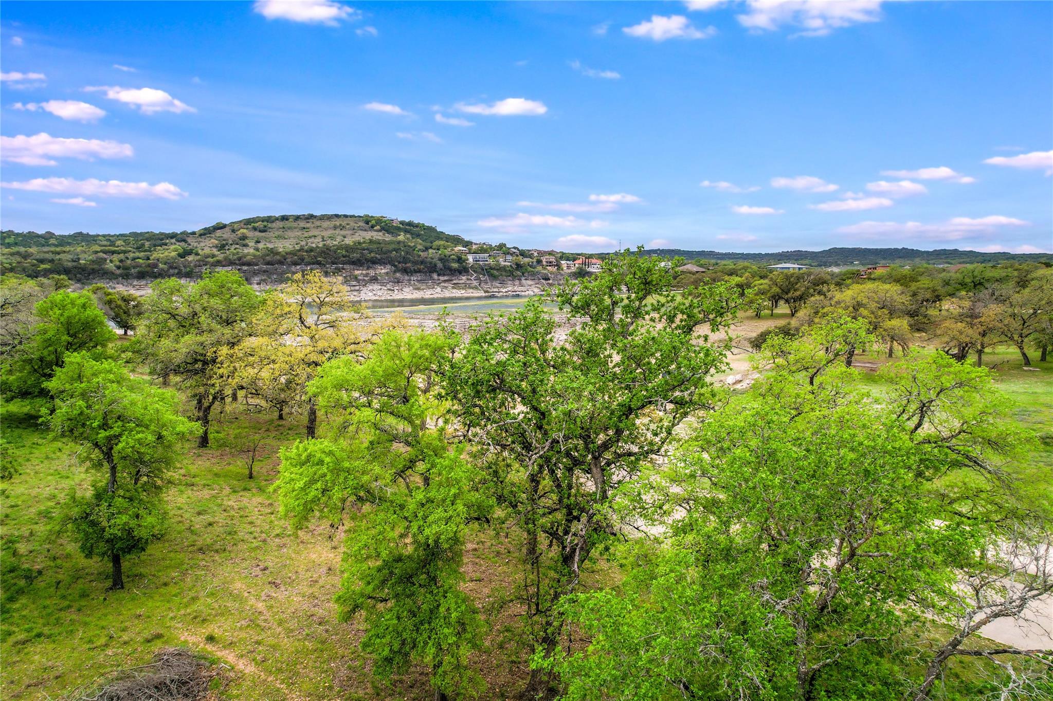 1403 Emerald Rd, Leander, TX 78645