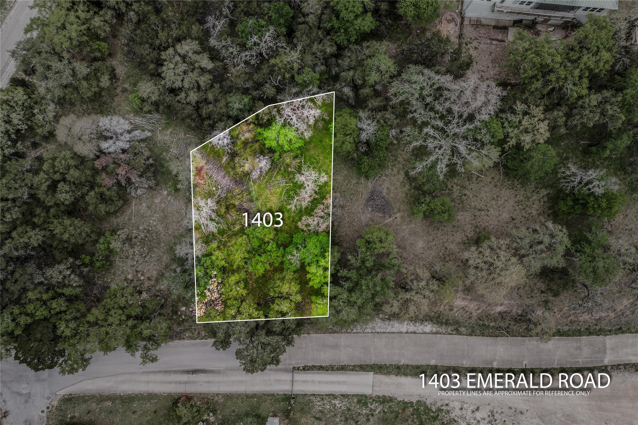 1403 Emerald Rd, Leander, TX 78645