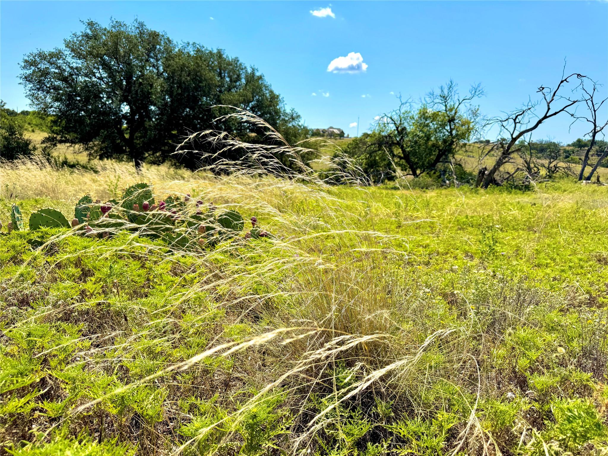 80 E FM 572, Goldthwaite, TX 76844