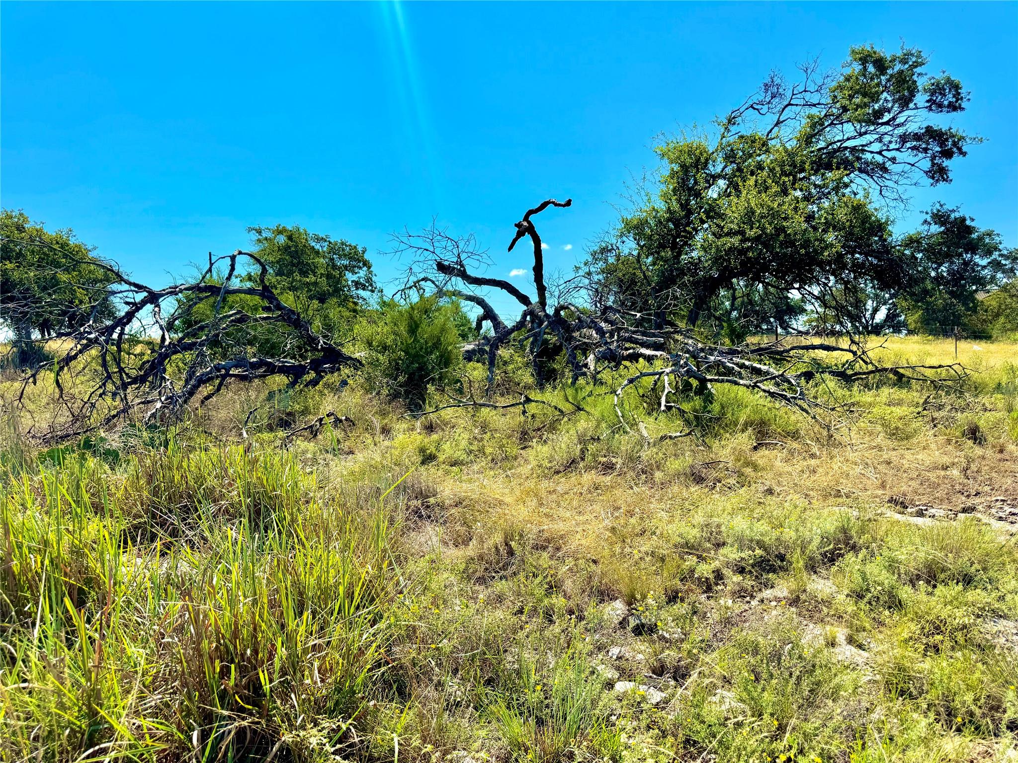 80 E FM 572, Goldthwaite, TX 76844