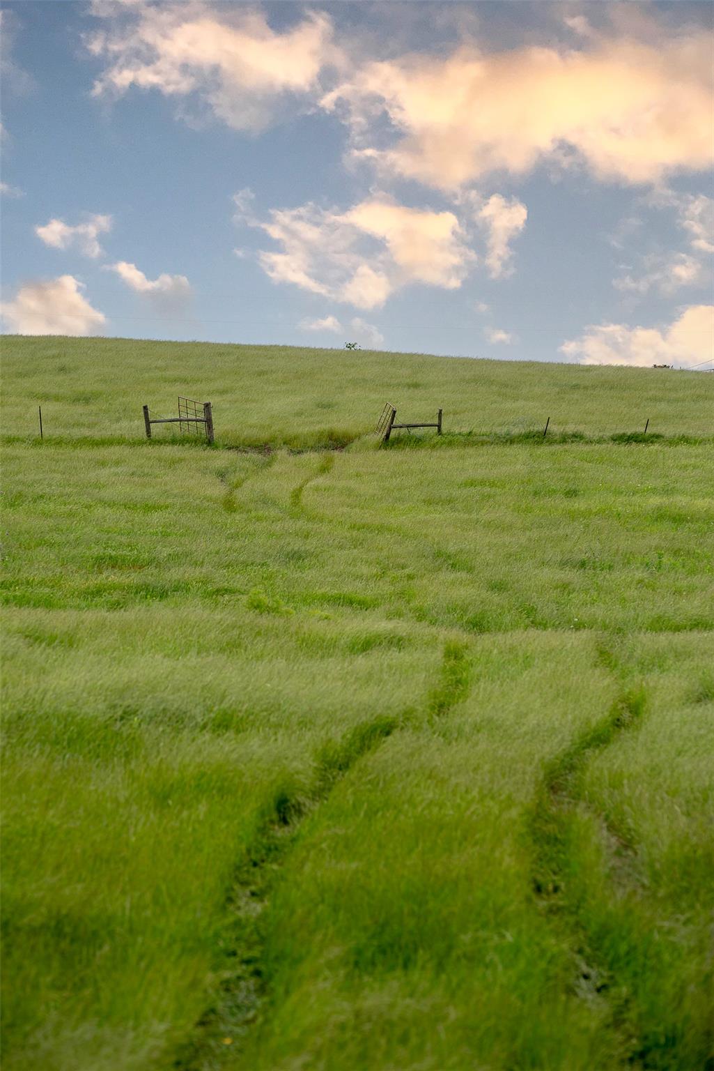 1716 B CR 469, Coupland, TX 78615