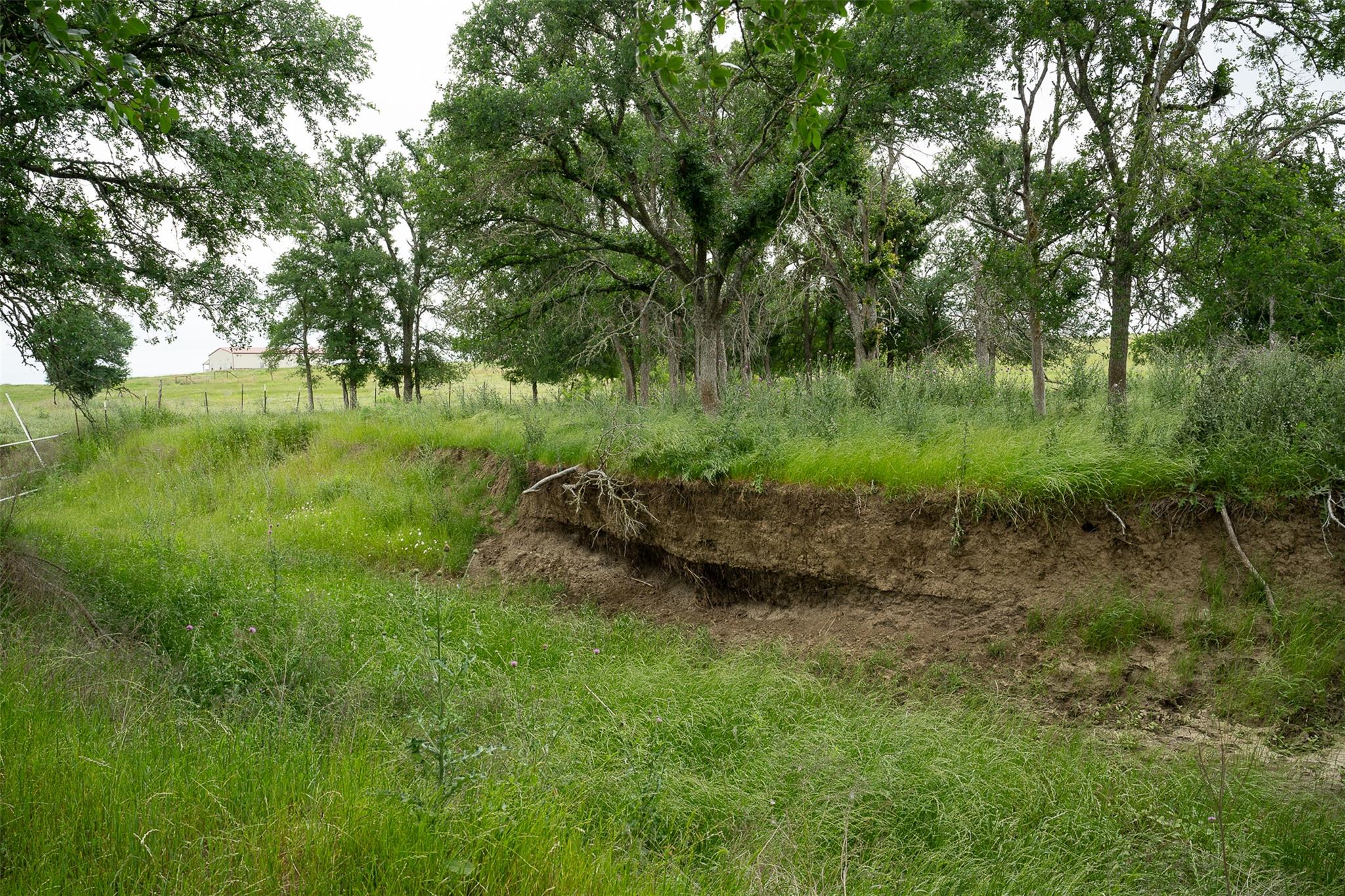 1716 B CR 469, Coupland, TX 78615