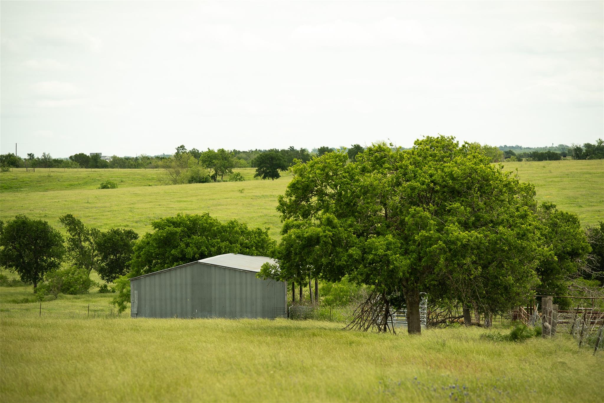 1716 B CR 469, Coupland, TX 78615