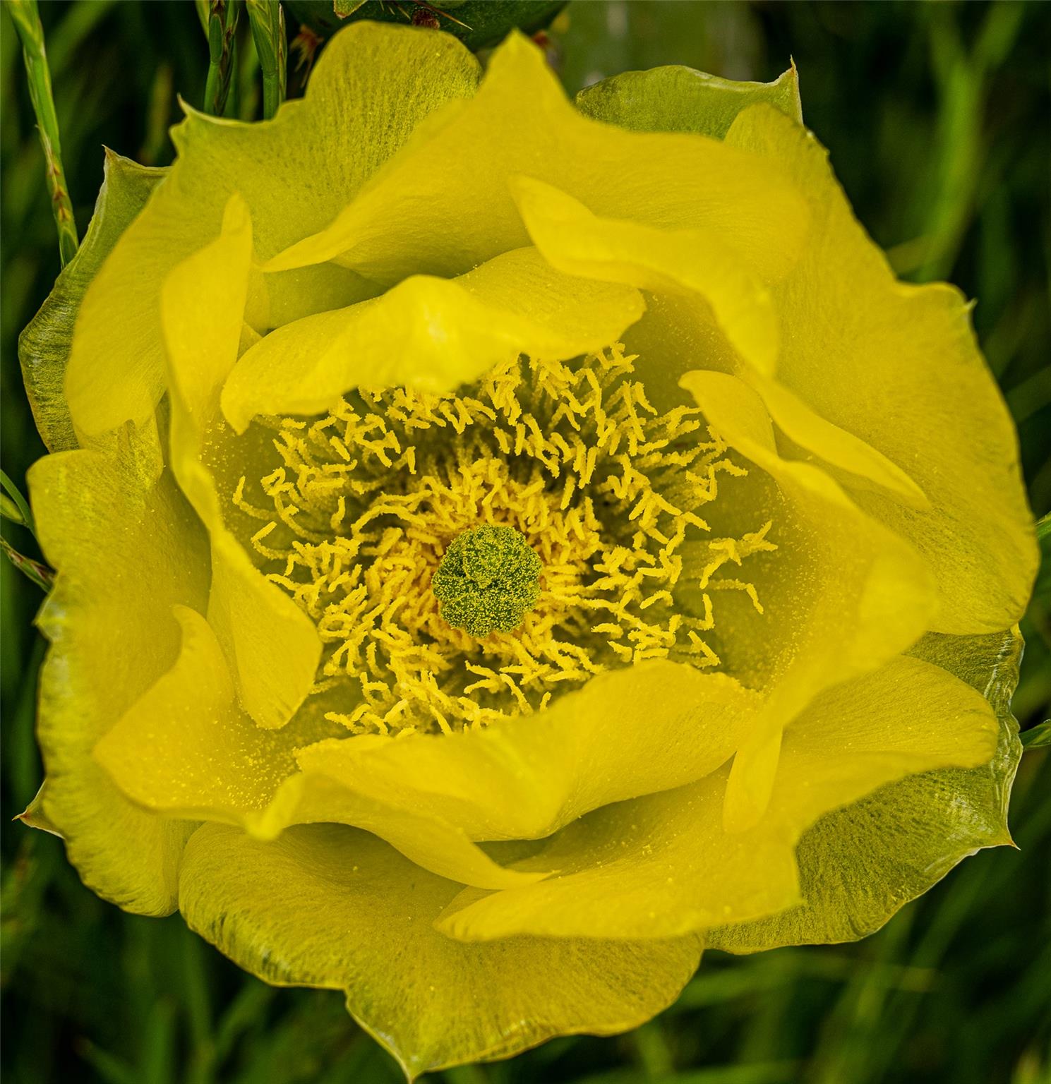 1716 A CR 469, Coupland, TX 78615