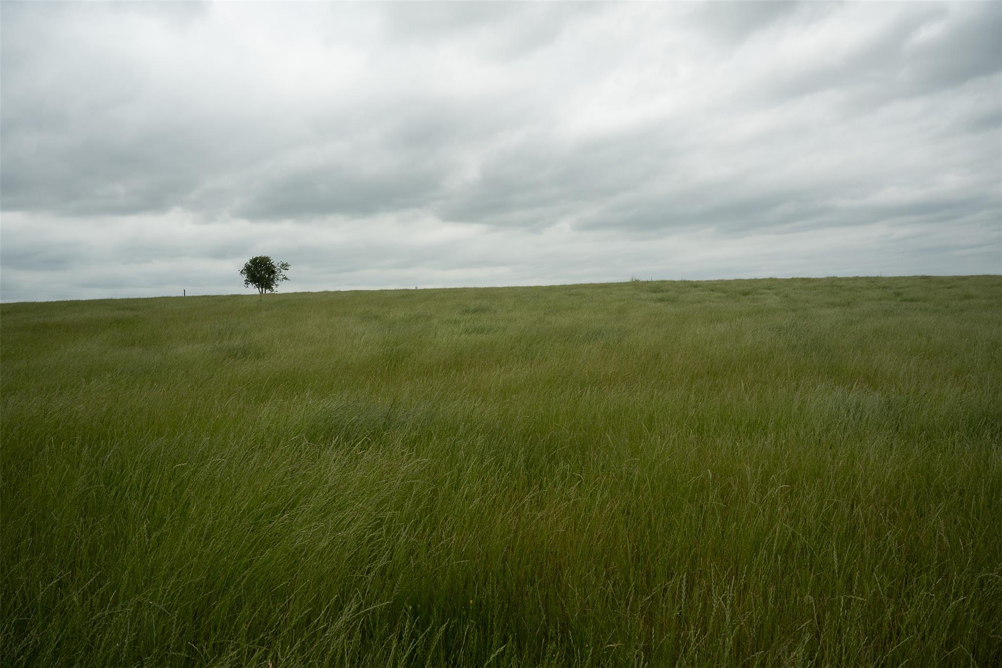 1716 CR 469, Coupland, TX 78615