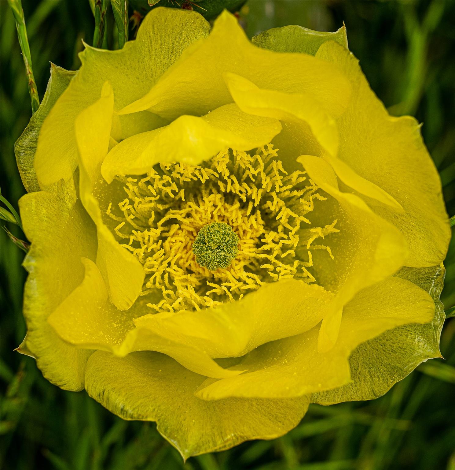 1716 CR 469, Coupland, TX 78615