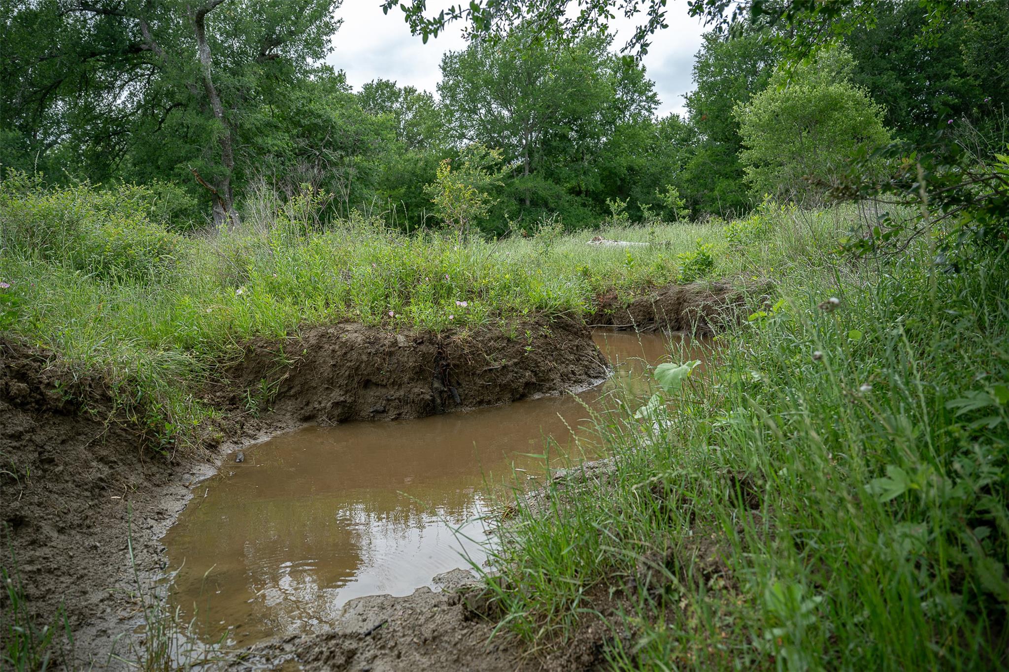 1716 CR 469, Coupland, TX 78615