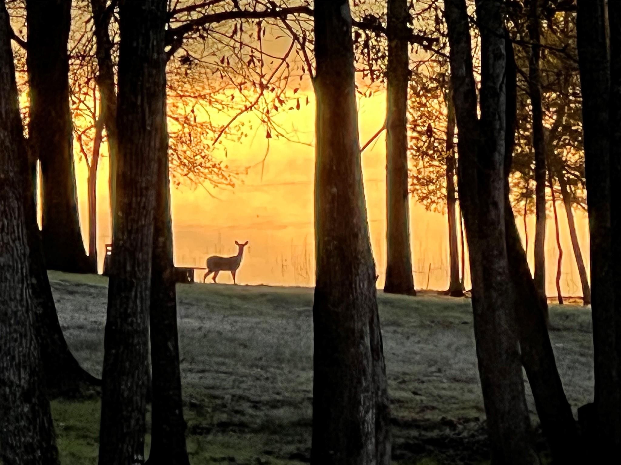 1386 Private Rd 1313, Centerville, TX 75833