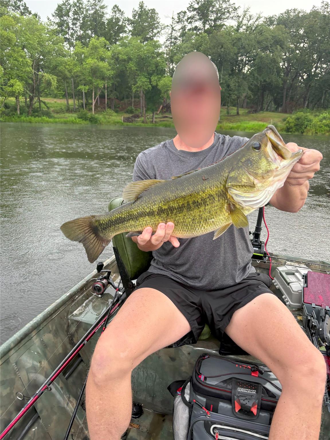 1386 Private Rd 1313, Centerville, TX 75833