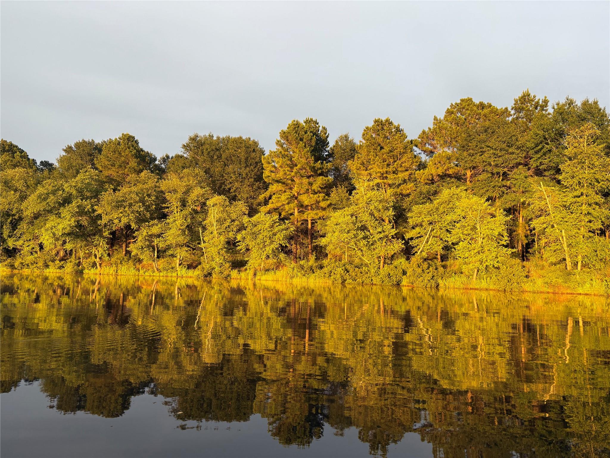 1386 Private Rd 1313, Centerville, TX 75833