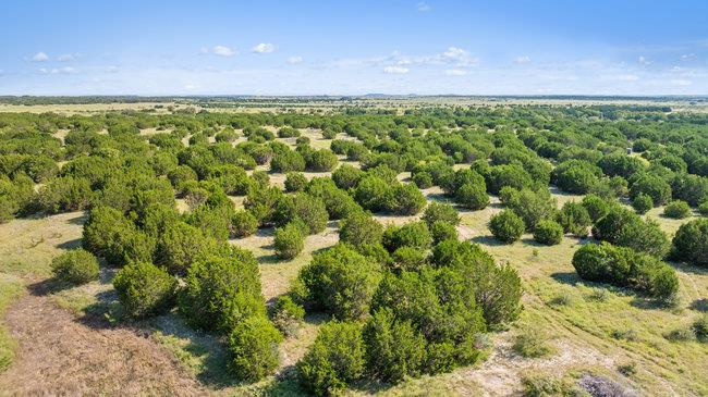 000 Watson-Yeary Rd, Lampasas, TX 76550