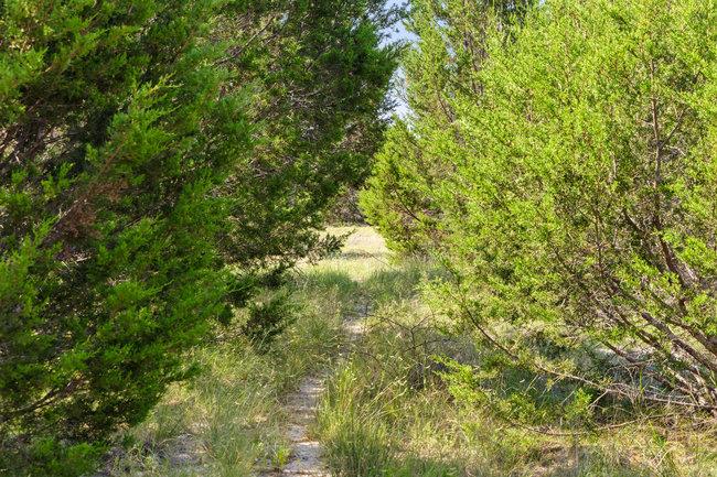 000 Watson-Yeary Rd, Lampasas, TX 76550