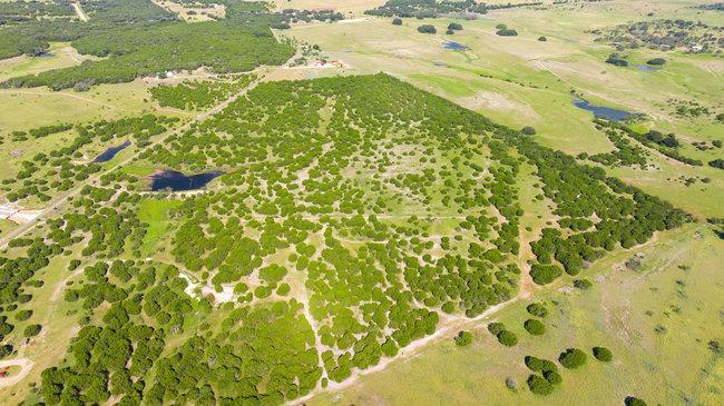 000 Watson-Yeary Rd, Lampasas, TX 76550