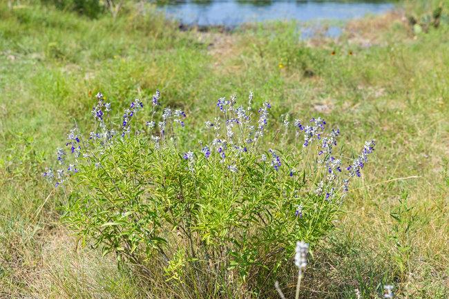 000 Watson-Yeary Rd, Lampasas, TX 76550