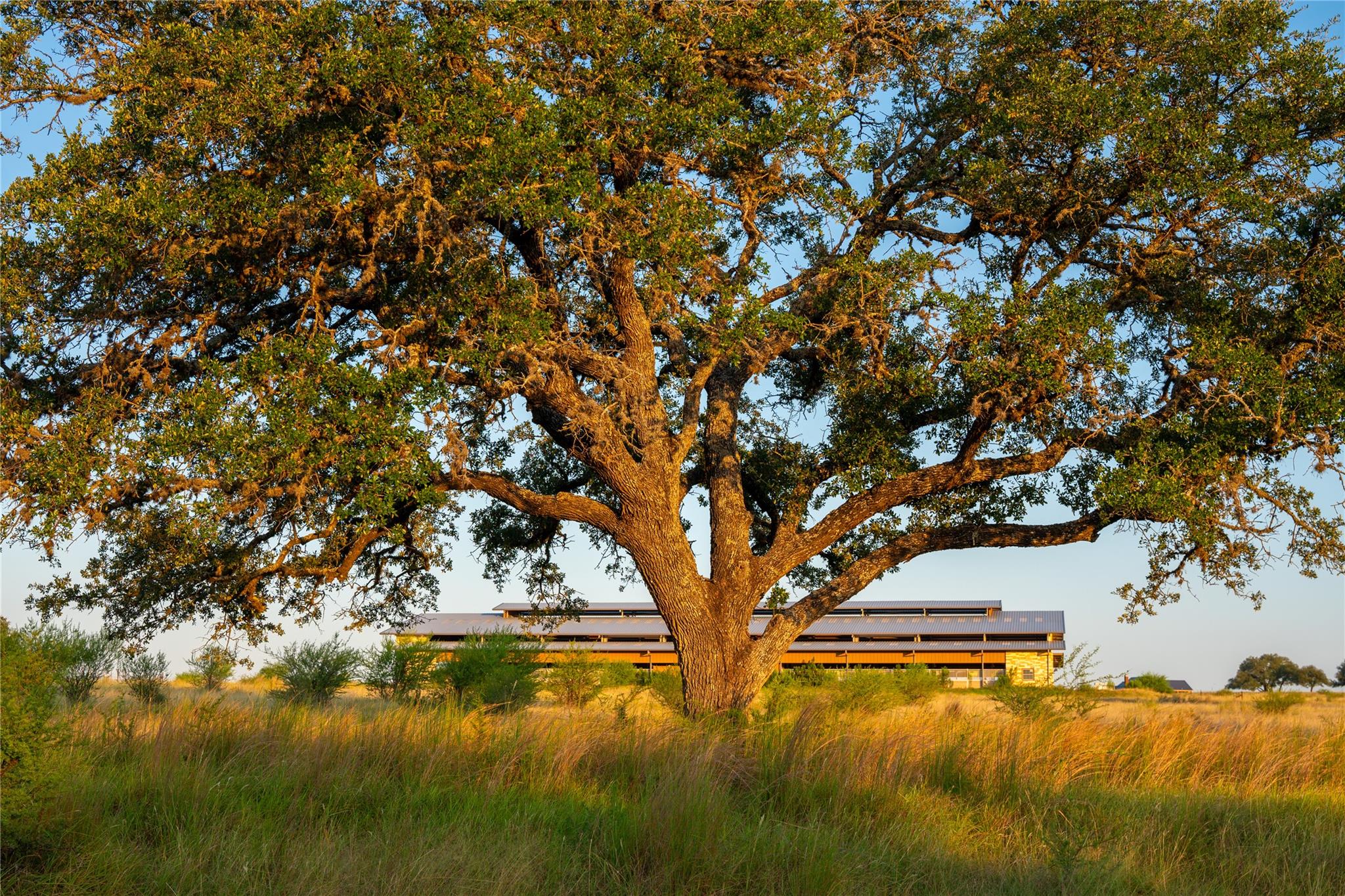 000 RR # 1323, Johnson City, TX 78636