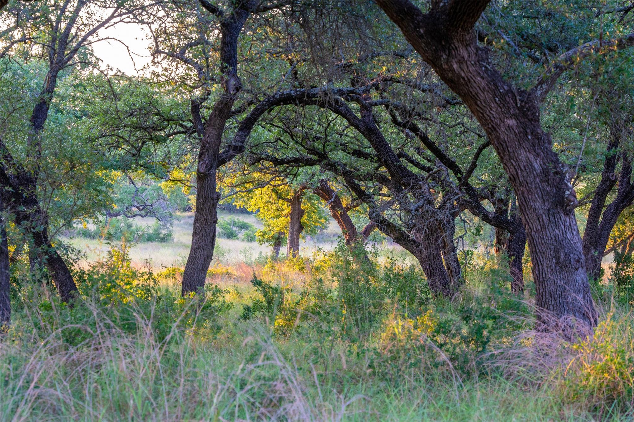 000 RR # 1323, Johnson City, TX 78636